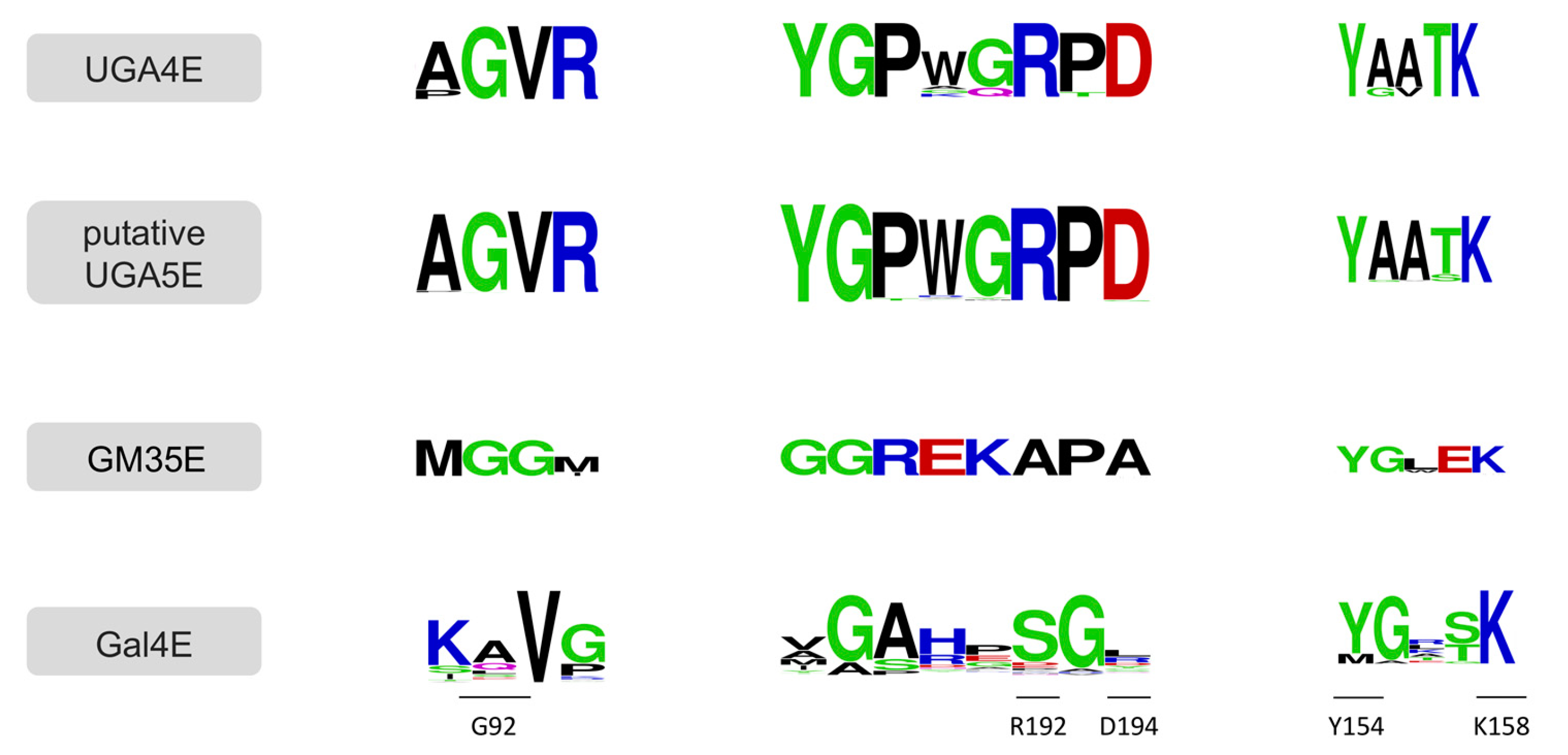 Catalysts 10 00222 g006