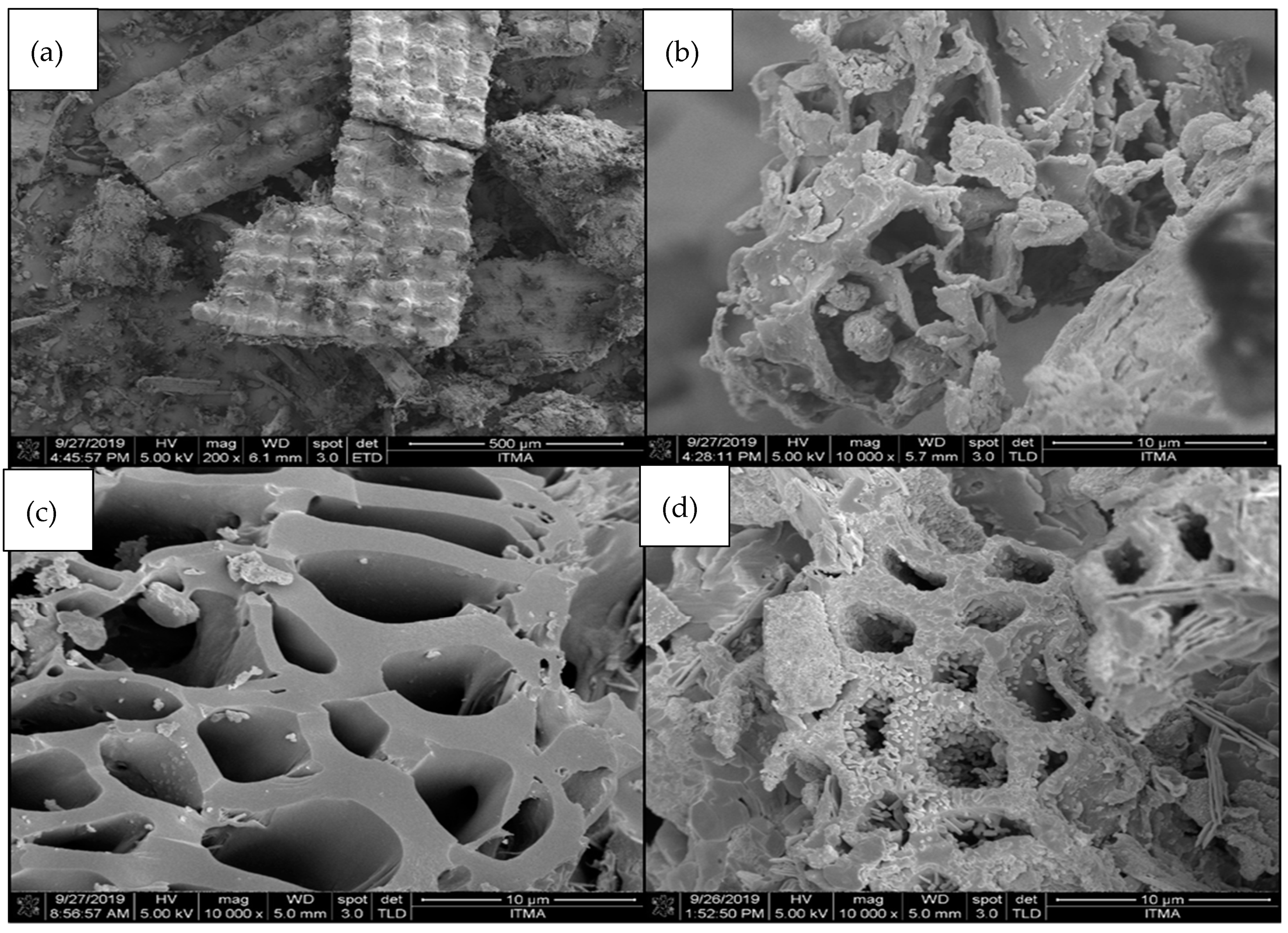 Catalysts 10 00225 g004 Catalysts 10 00225 g004