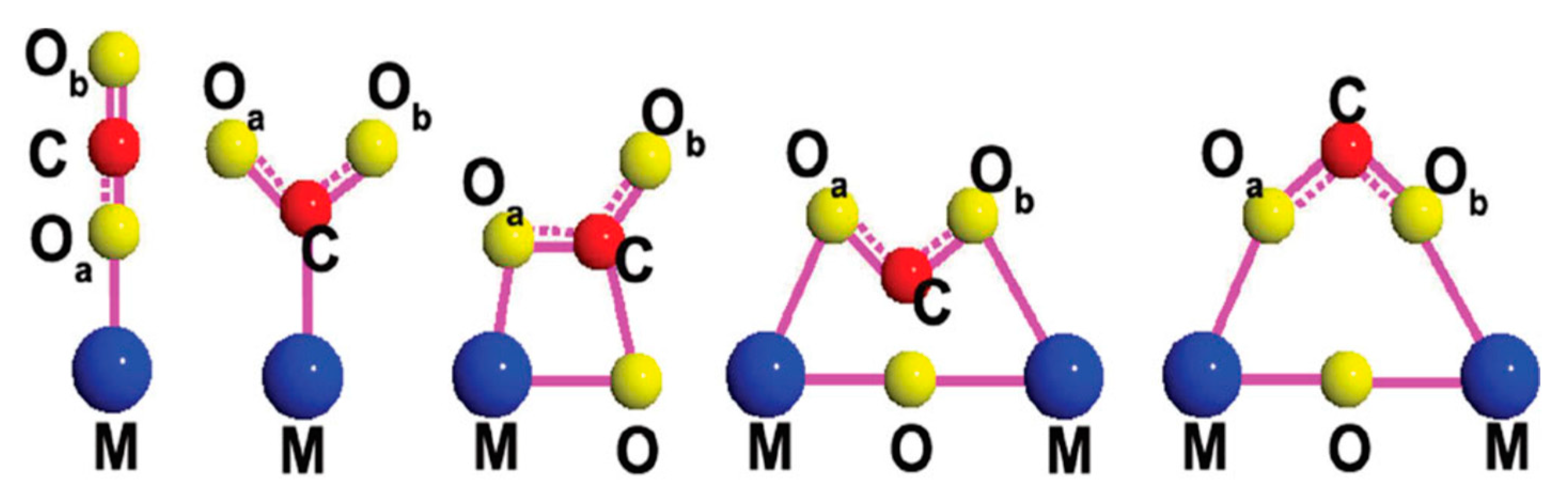 Catalysts 10 00227 g002