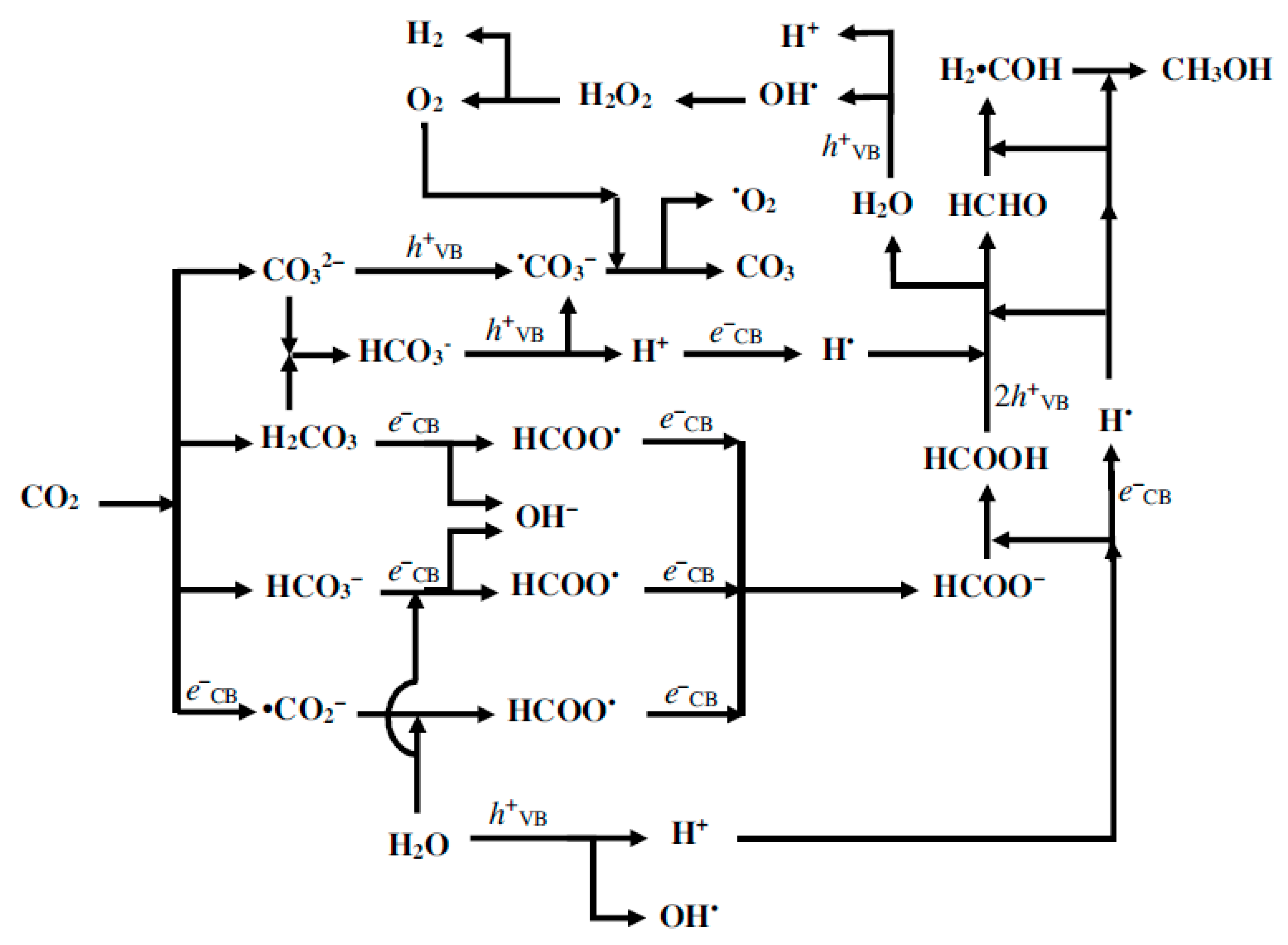 Catalysts 10 00227 g004