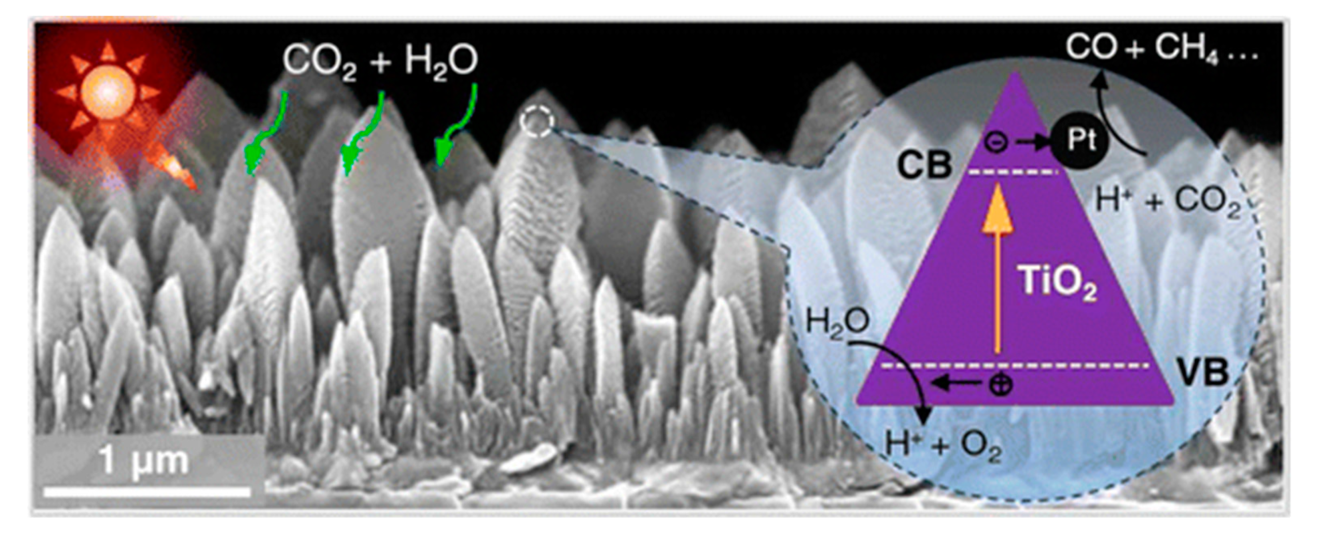 Catalysts 10 00227 g010