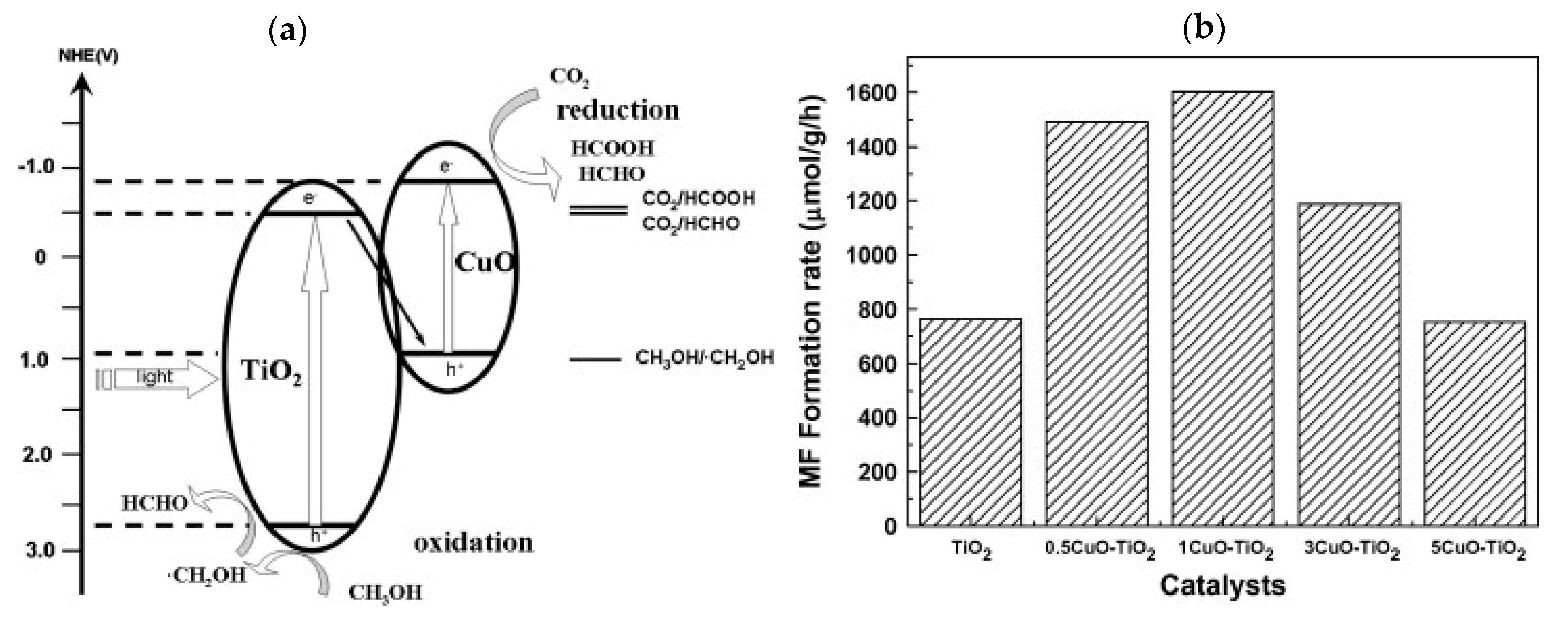 Catalysts 10 00227 g013
