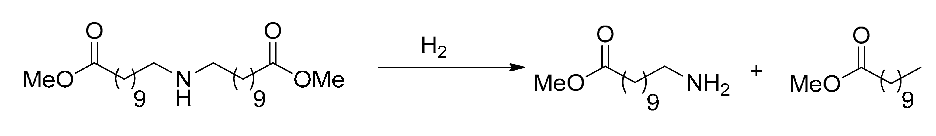 Catalysts 10 00229 sch006