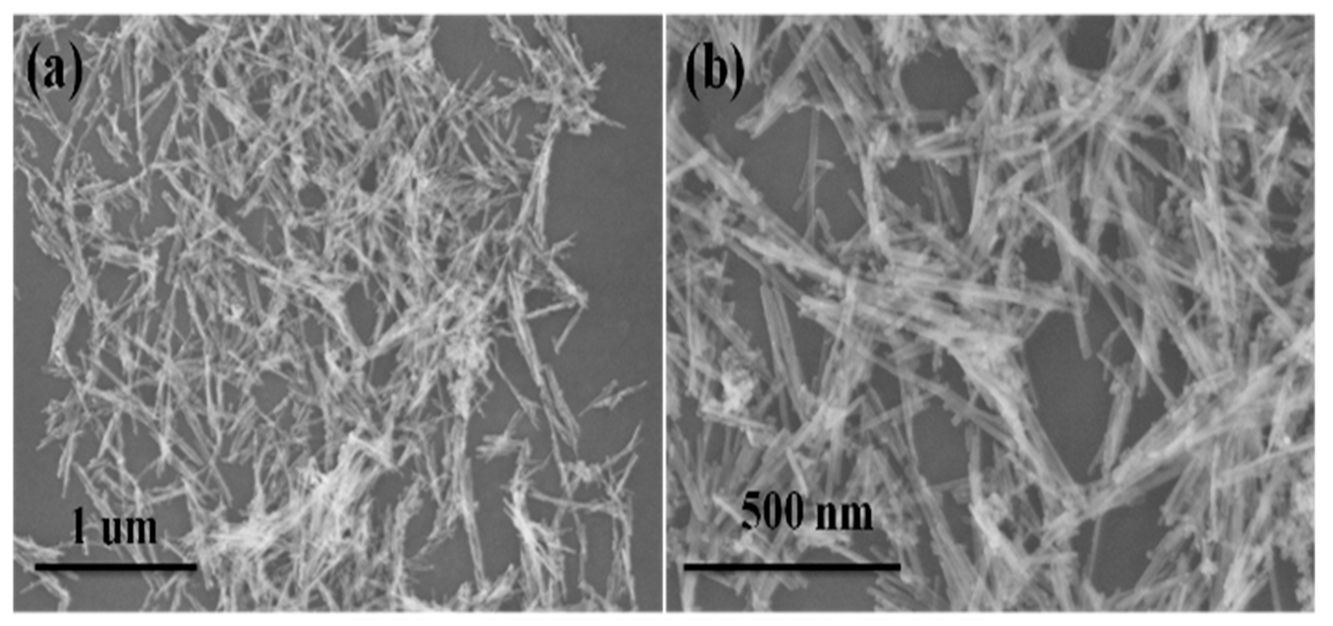 Catalysts 10 00231 g001