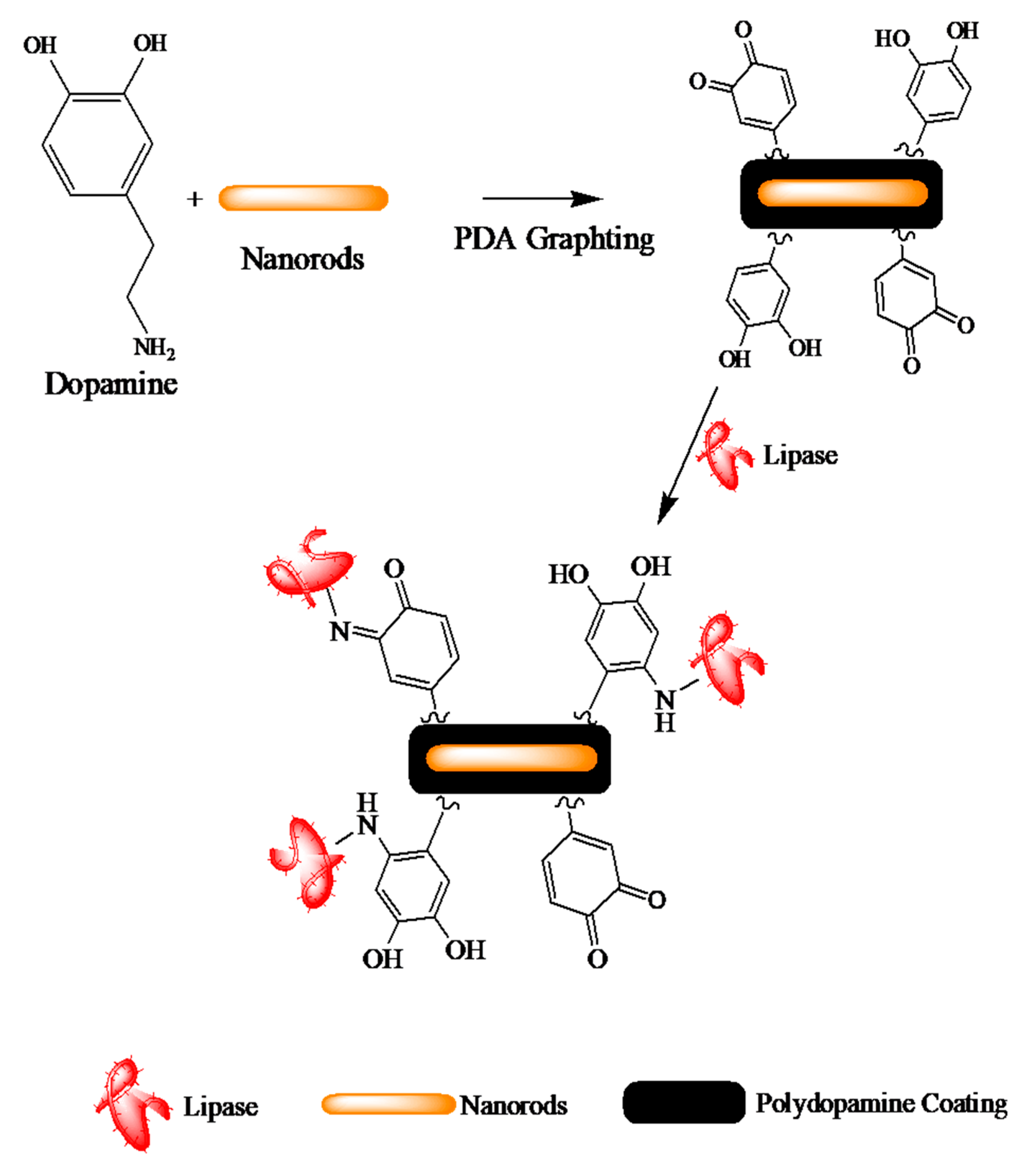 Catalysts 10 00231 g009