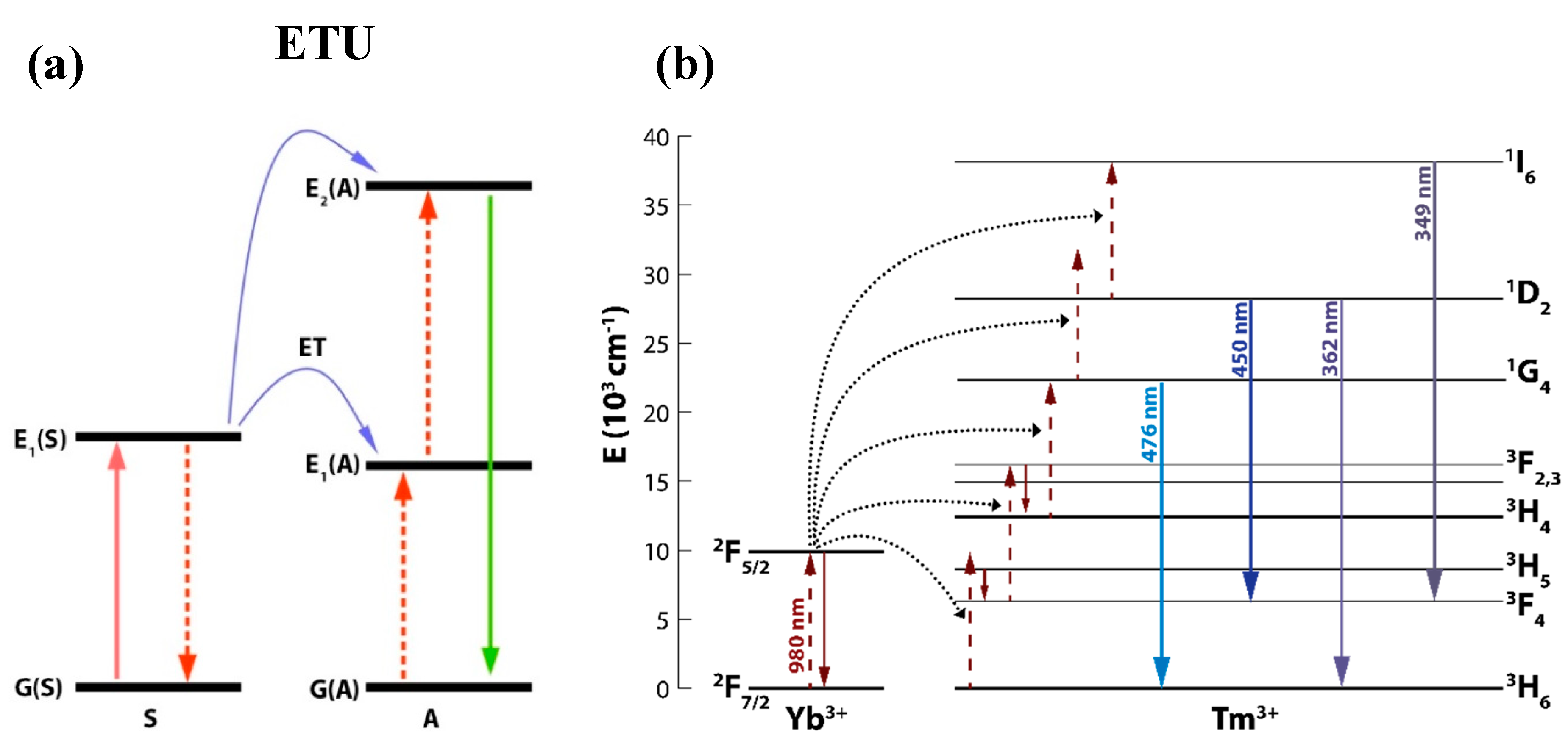Catalysts 10 00232 g001