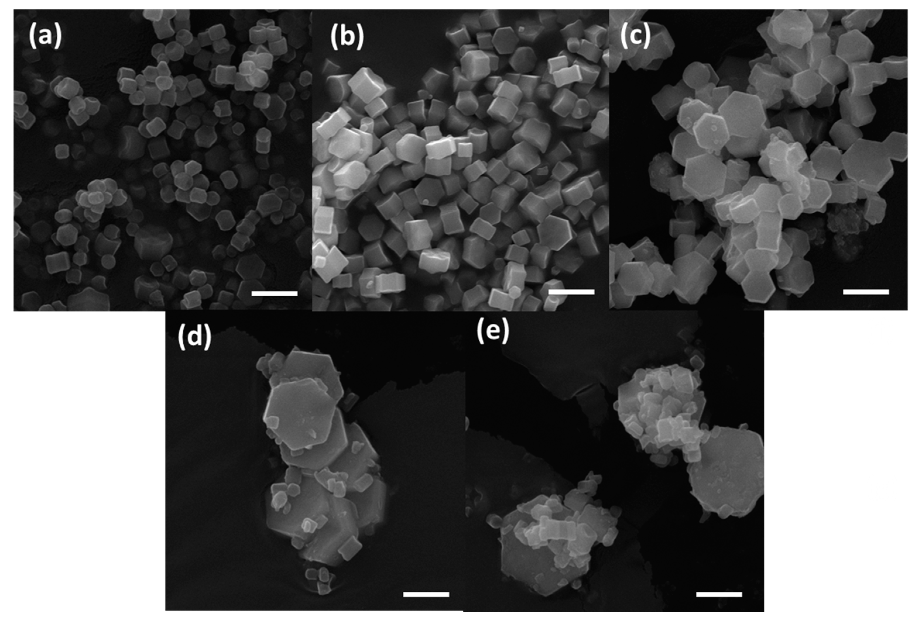 Catalysts 10 00232 g002