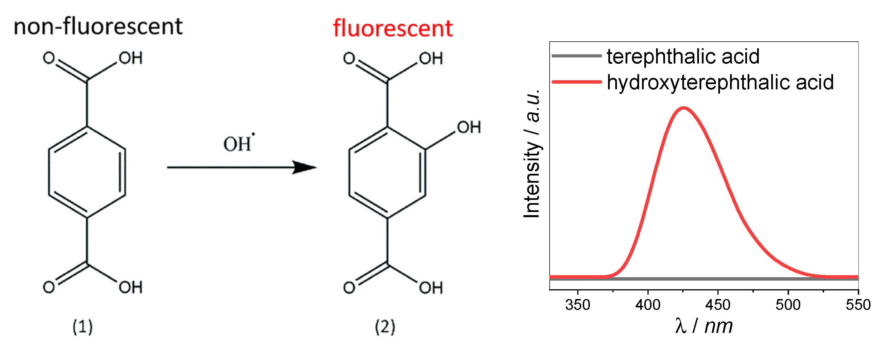 Catalysts 10 00232 sch001