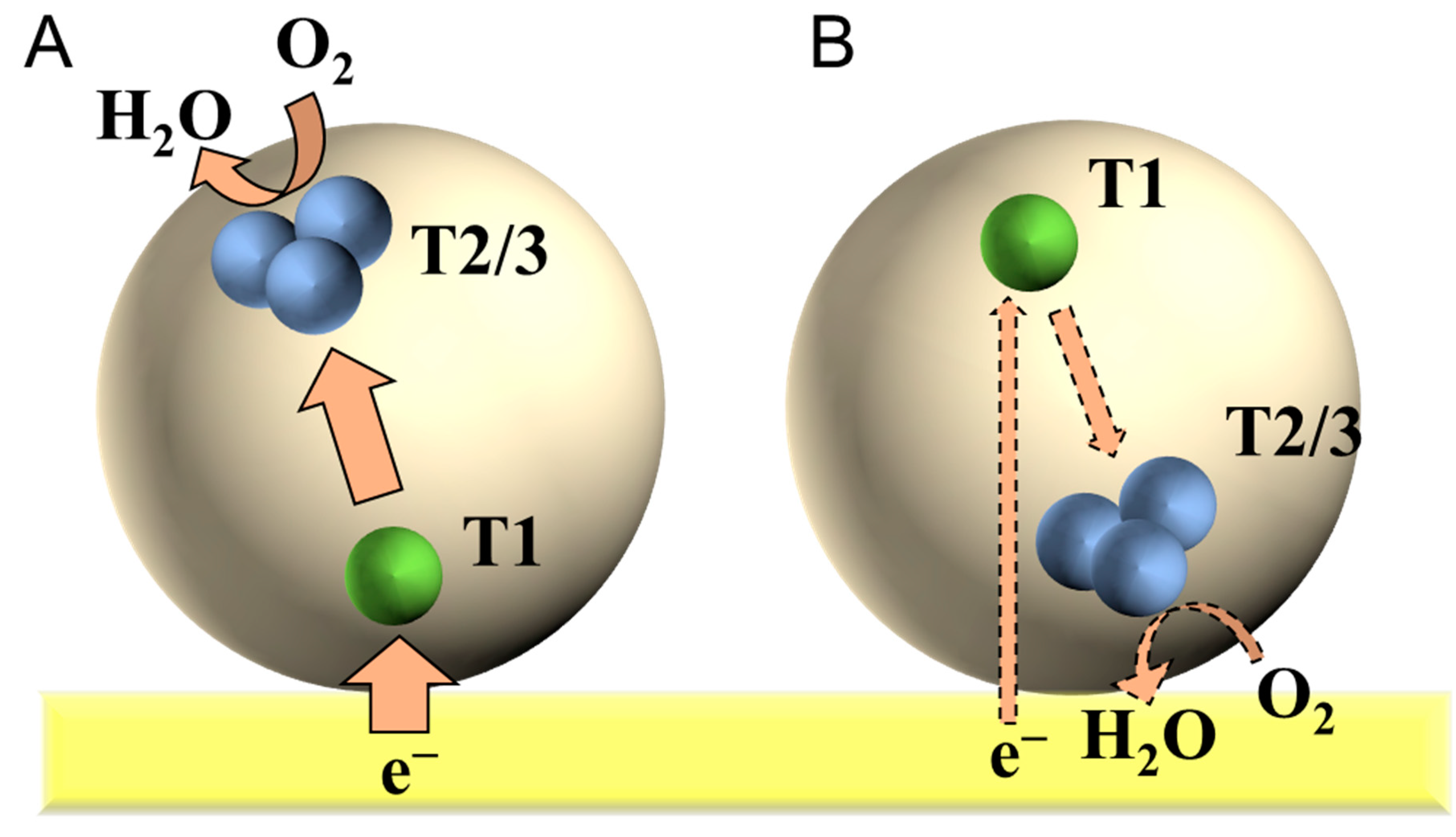 Catalysts 10 00236 g006 Catalysts 10 00236 g006
