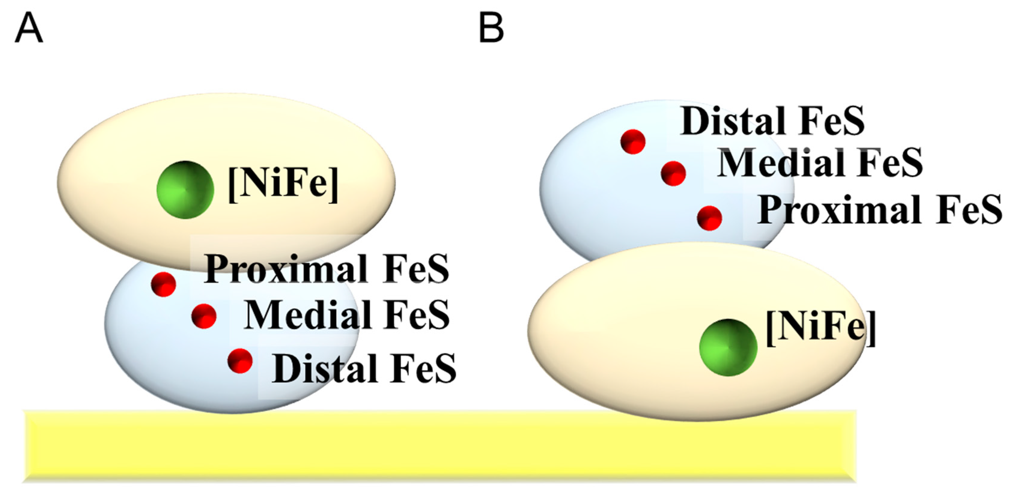 Catalysts 10 00236 g007 Catalysts 10 00236 g007