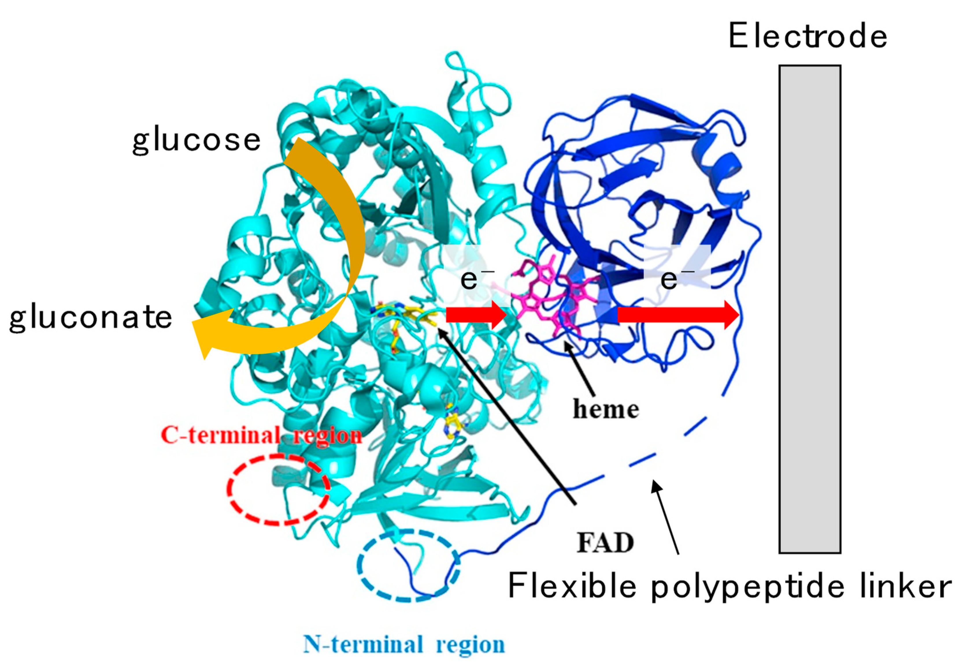 Catalysts 10 00236 g011 Catalysts 10 00236 g011