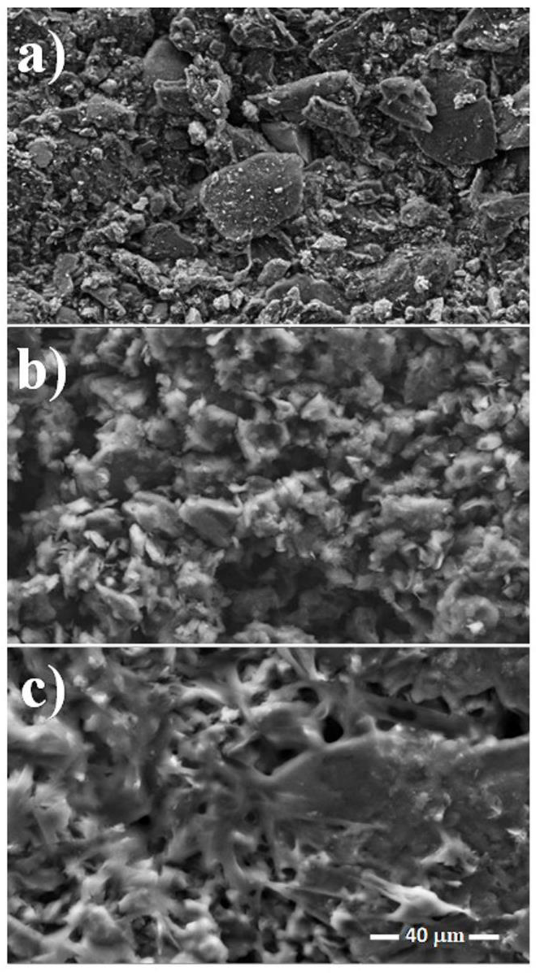 Catalysts 10 00239 g002