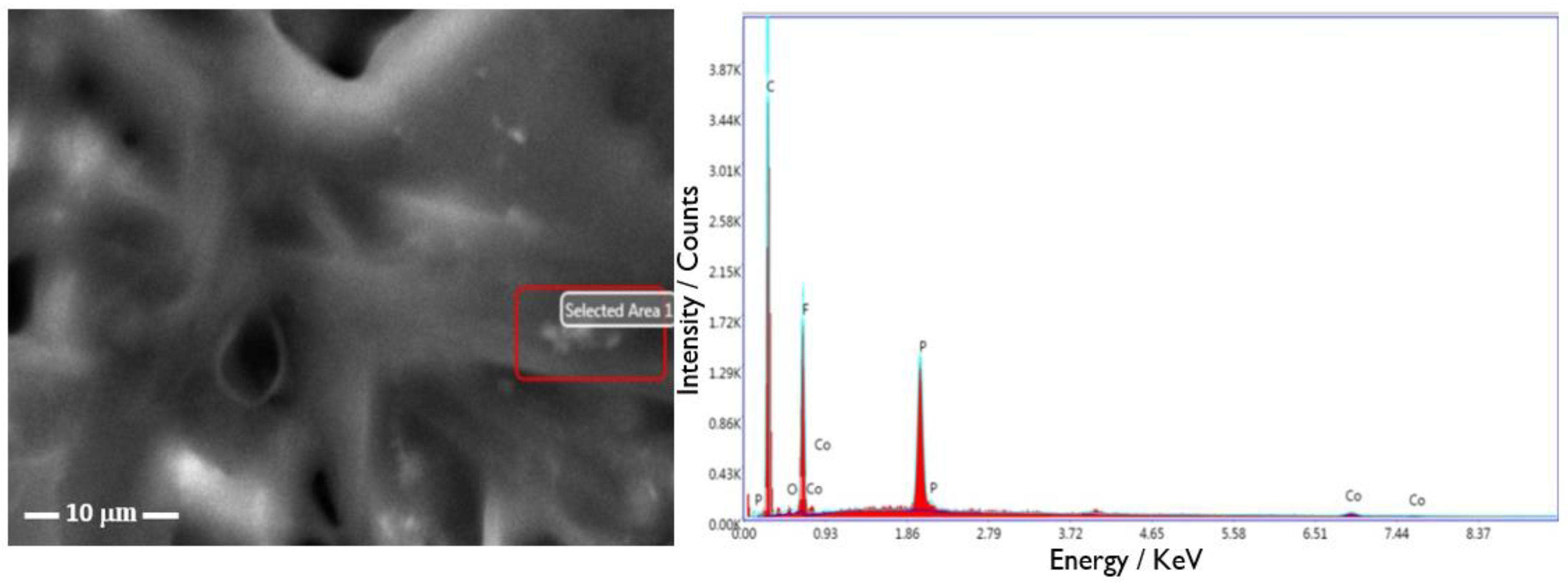 Catalysts 10 00239 g003