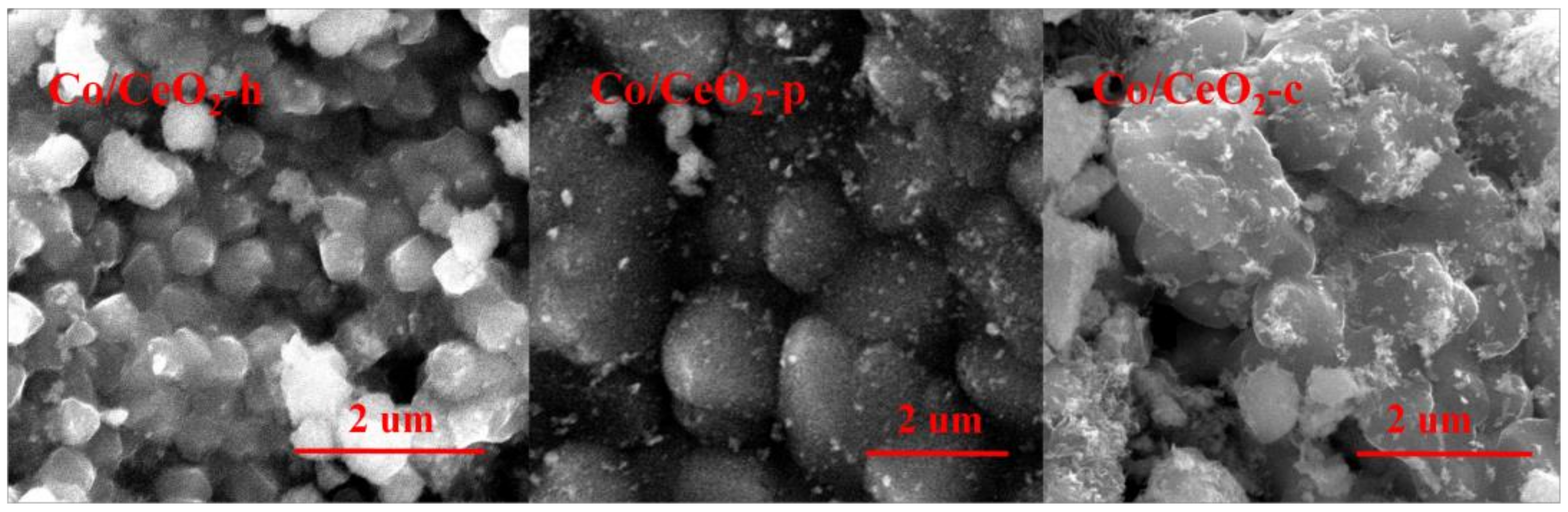 Catalysts 10 00243 g005 Catalysts 10 00243 g005