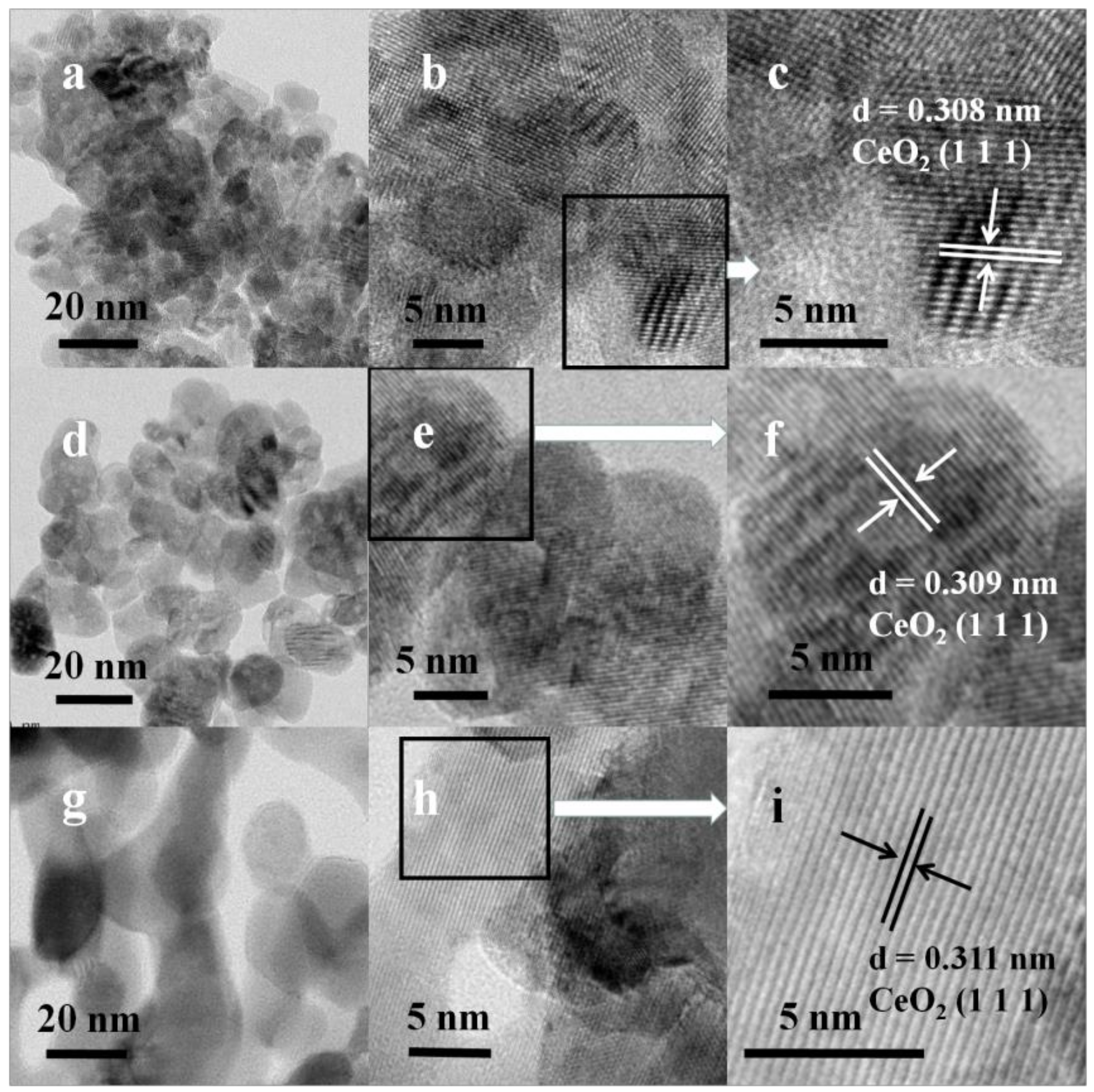 Catalysts 10 00243 g007 Catalysts 10 00243 g007