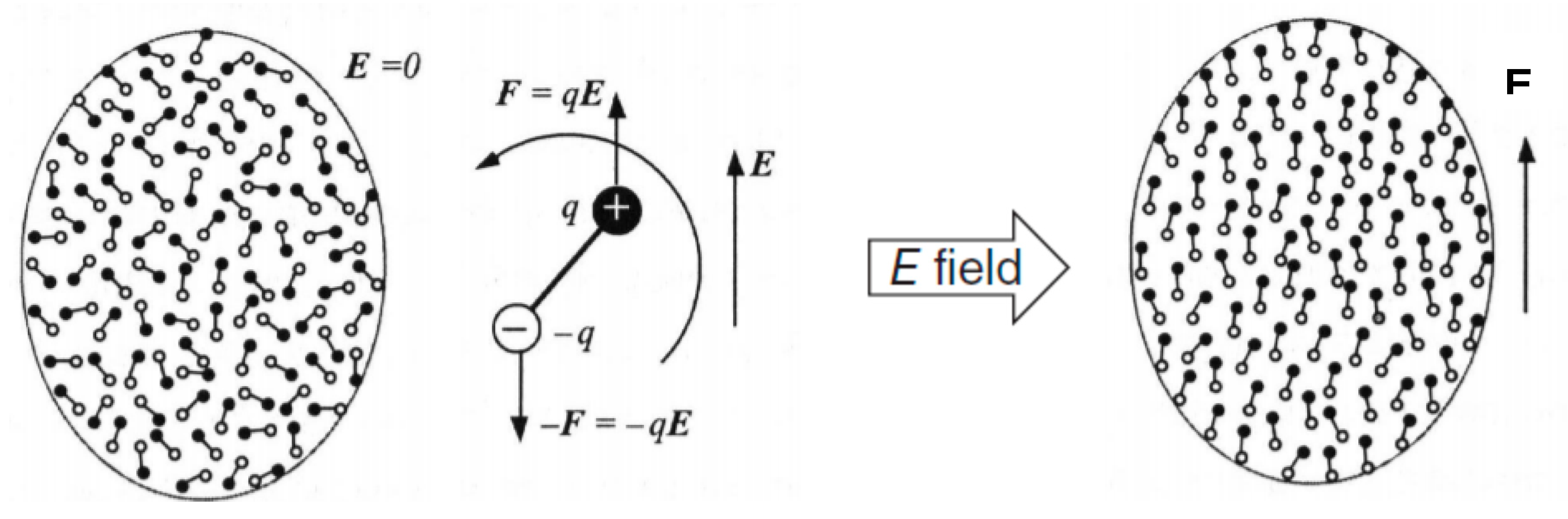 Catalysts 10 00246 g002 Catalysts 10 00246 g002