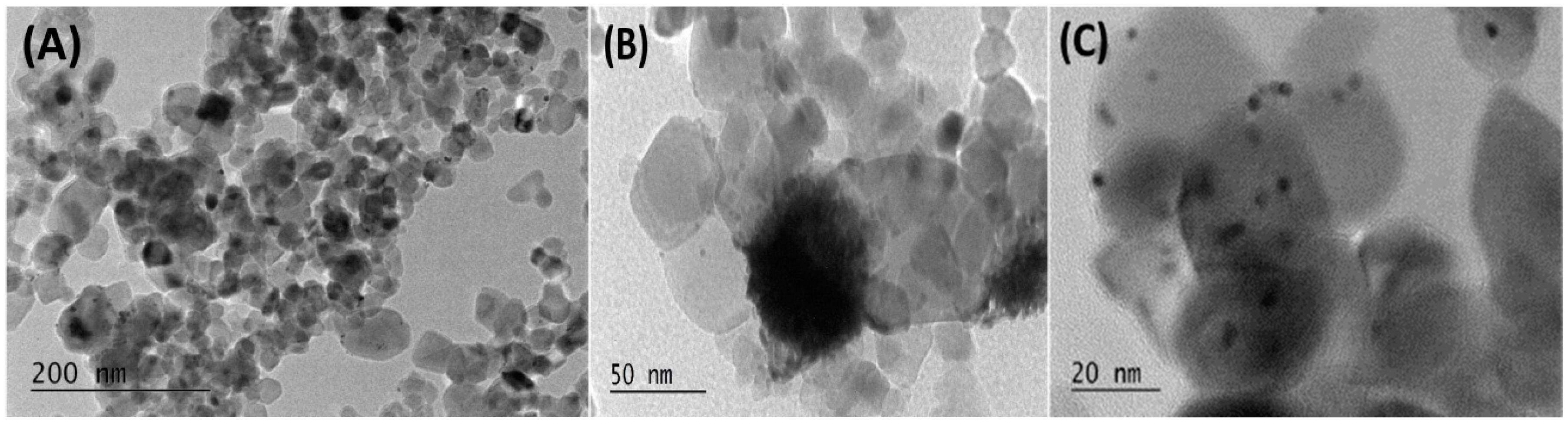Catalysts 10 00248 g001a