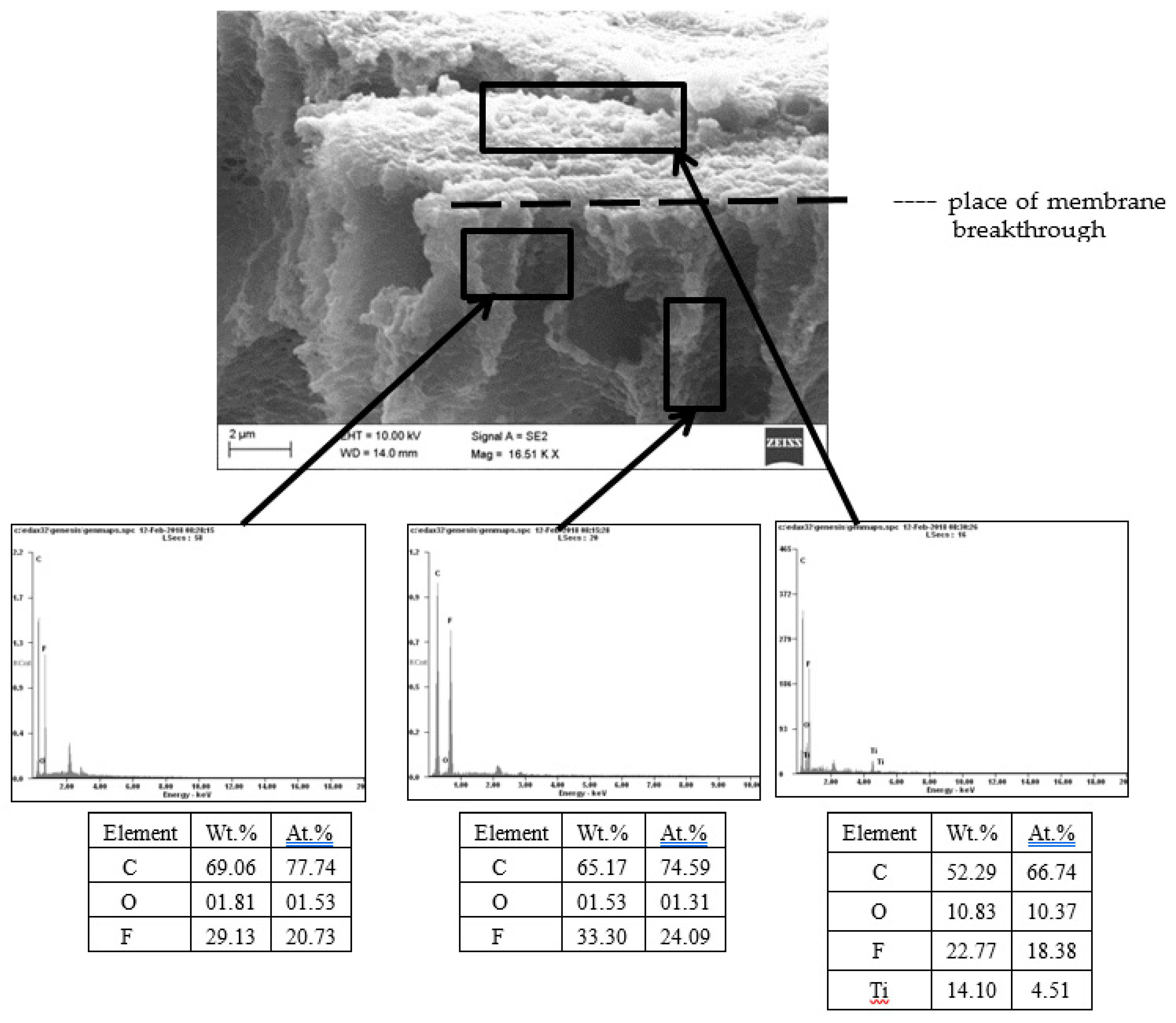 Catalysts 10 00249 g005 Catalysts 10 00249 g005