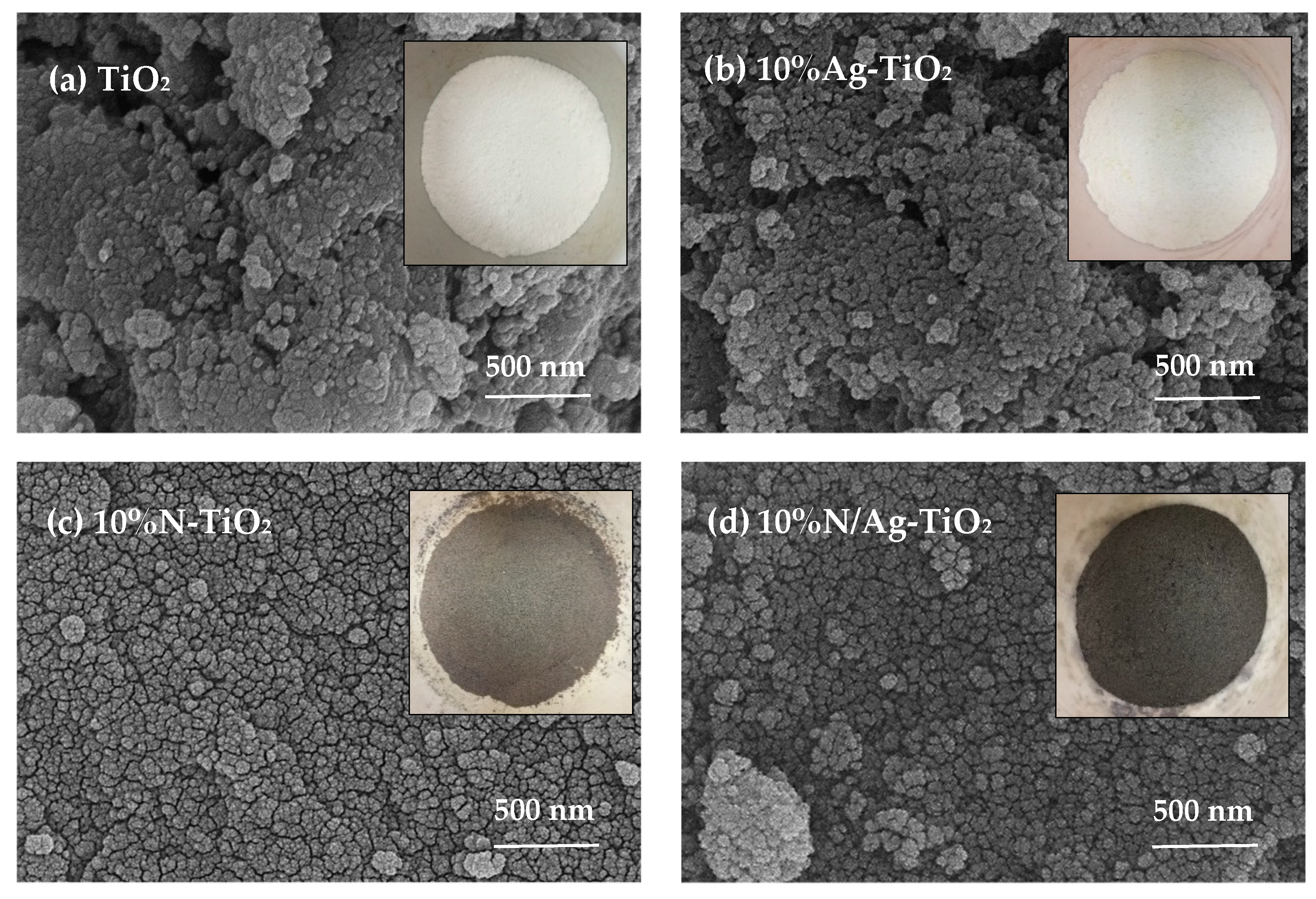 Catalysts 10 00251 g001