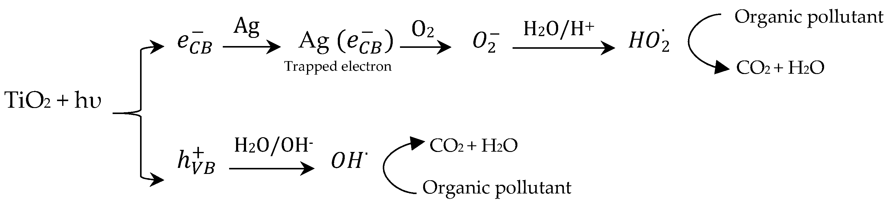 Catalysts 10 00251 sch001