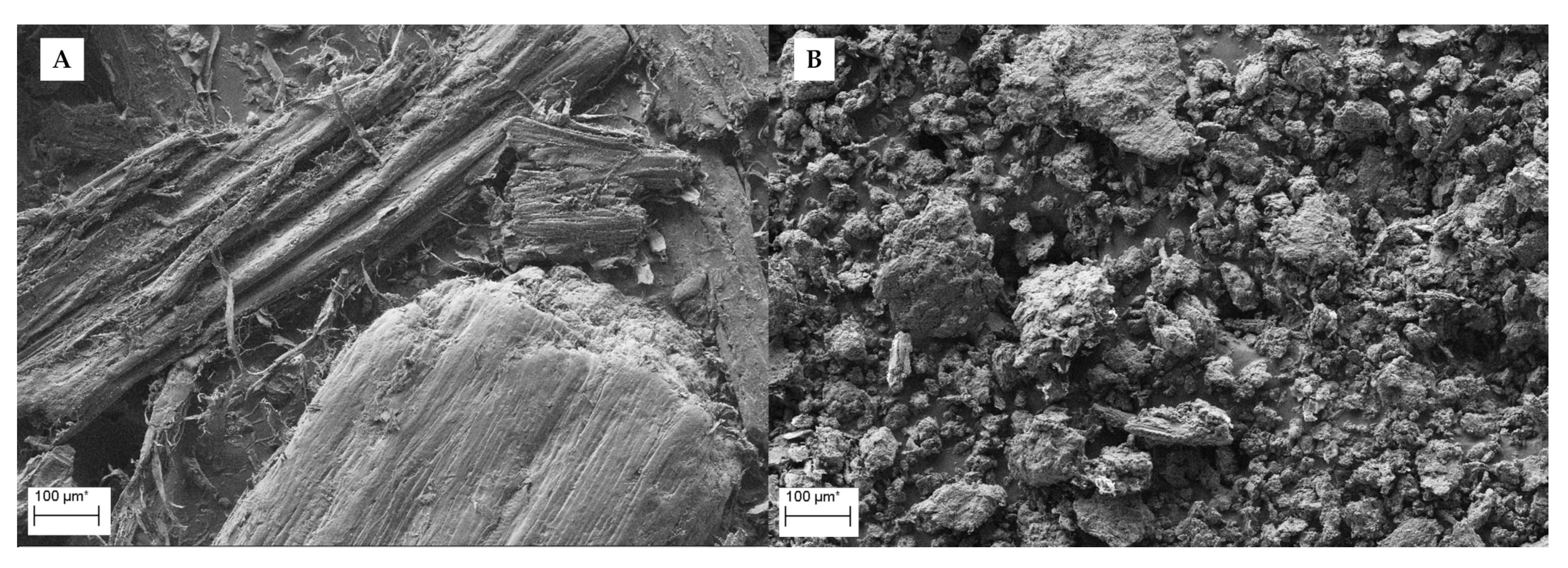 Catalysts 10 00255 g004