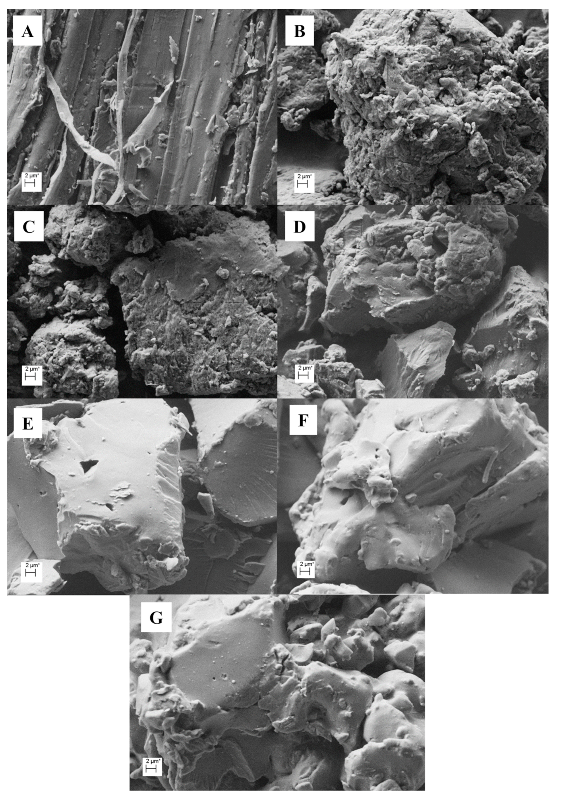 Catalysts 10 00255 g005