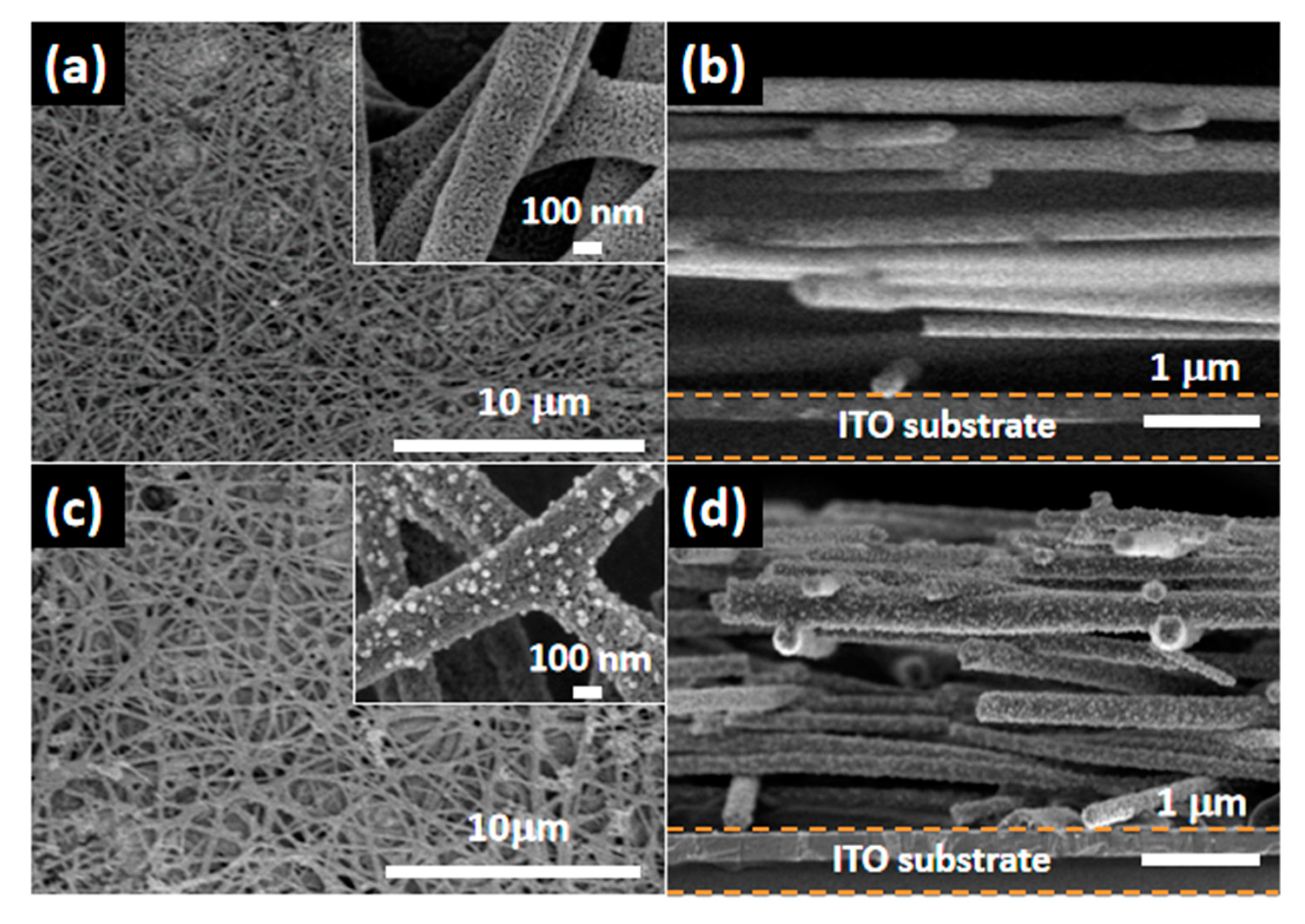 Catalysts 10 00261 g002 Catalysts 10 00261 g002
