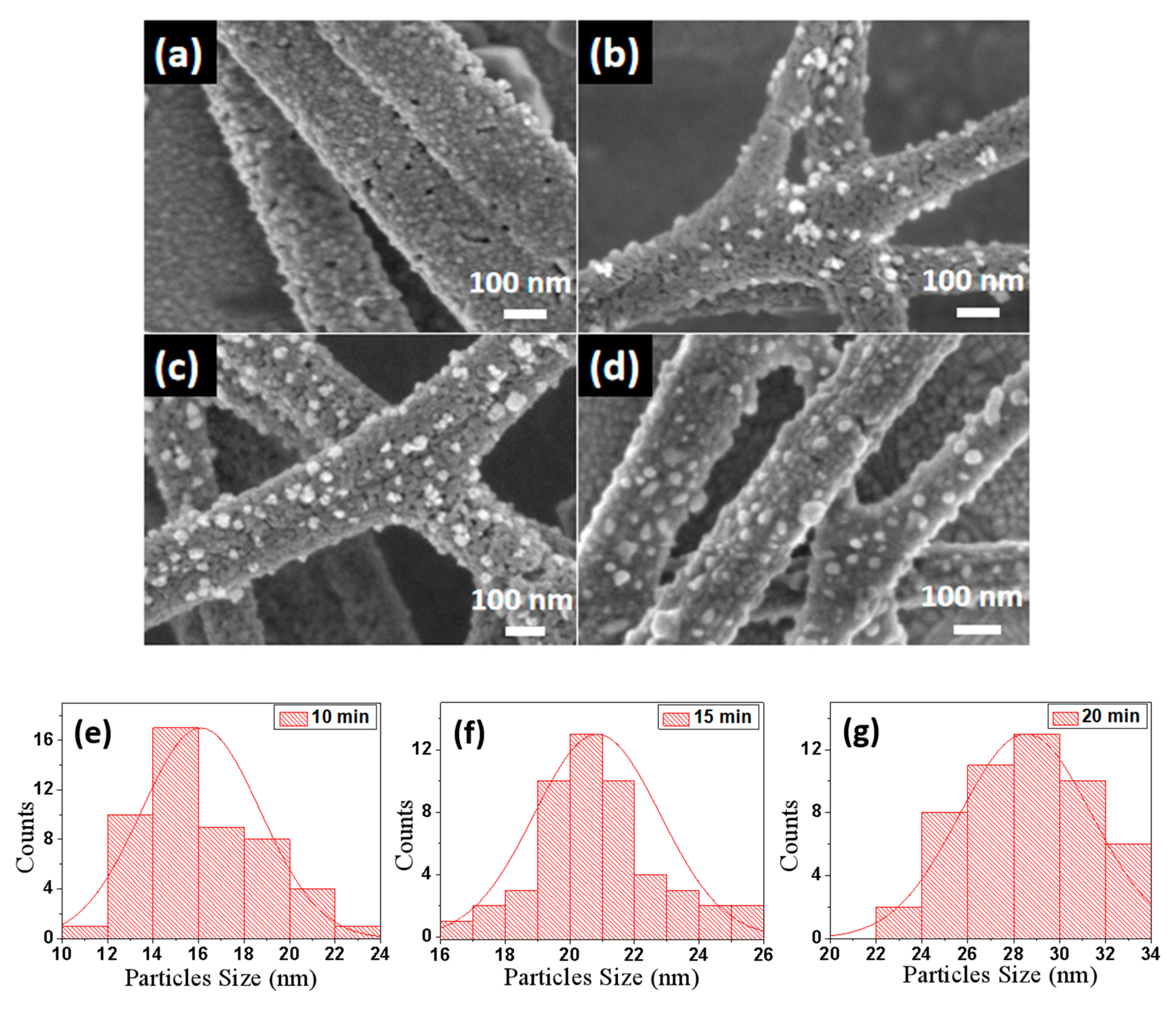 Catalysts 10 00261 g003 Catalysts 10 00261 g003