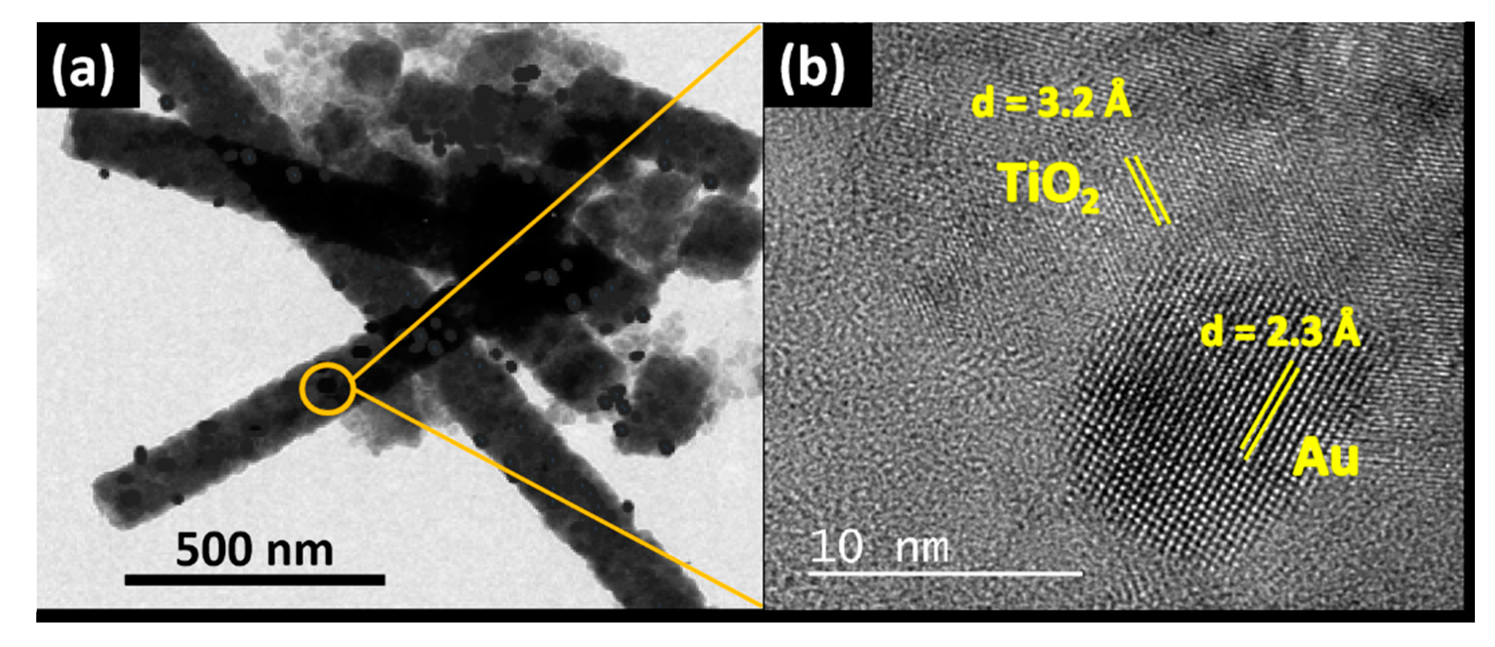 Catalysts 10 00261 g004 Catalysts 10 00261 g004