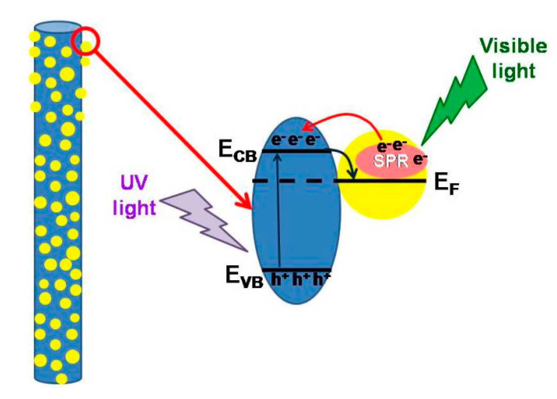 Catalysts 10 00261 g008 Catalysts 10 00261 g008