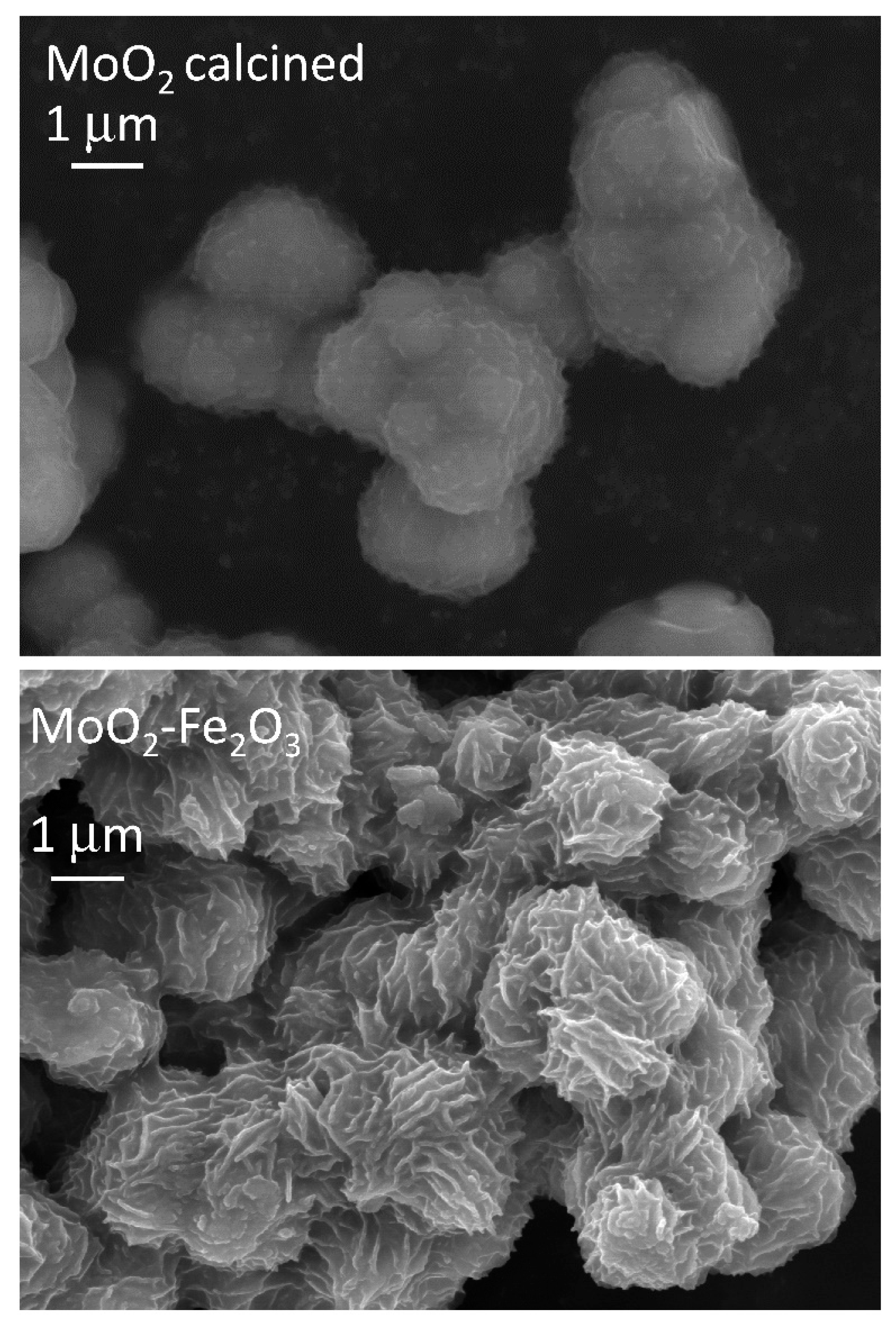 Catalysts 10 00265 g002
