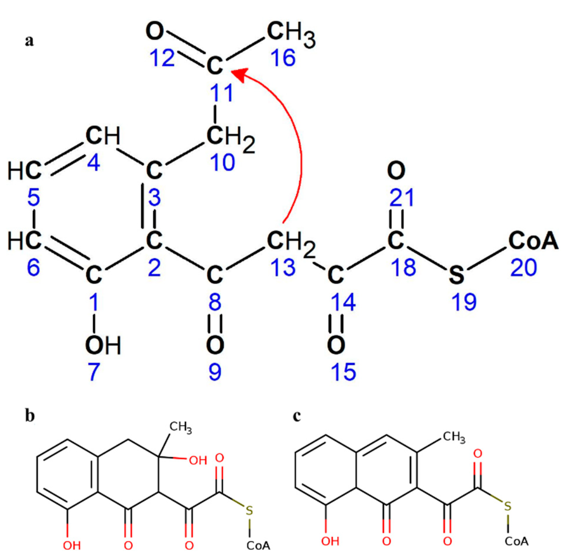 Catalysts 10 00280 g002