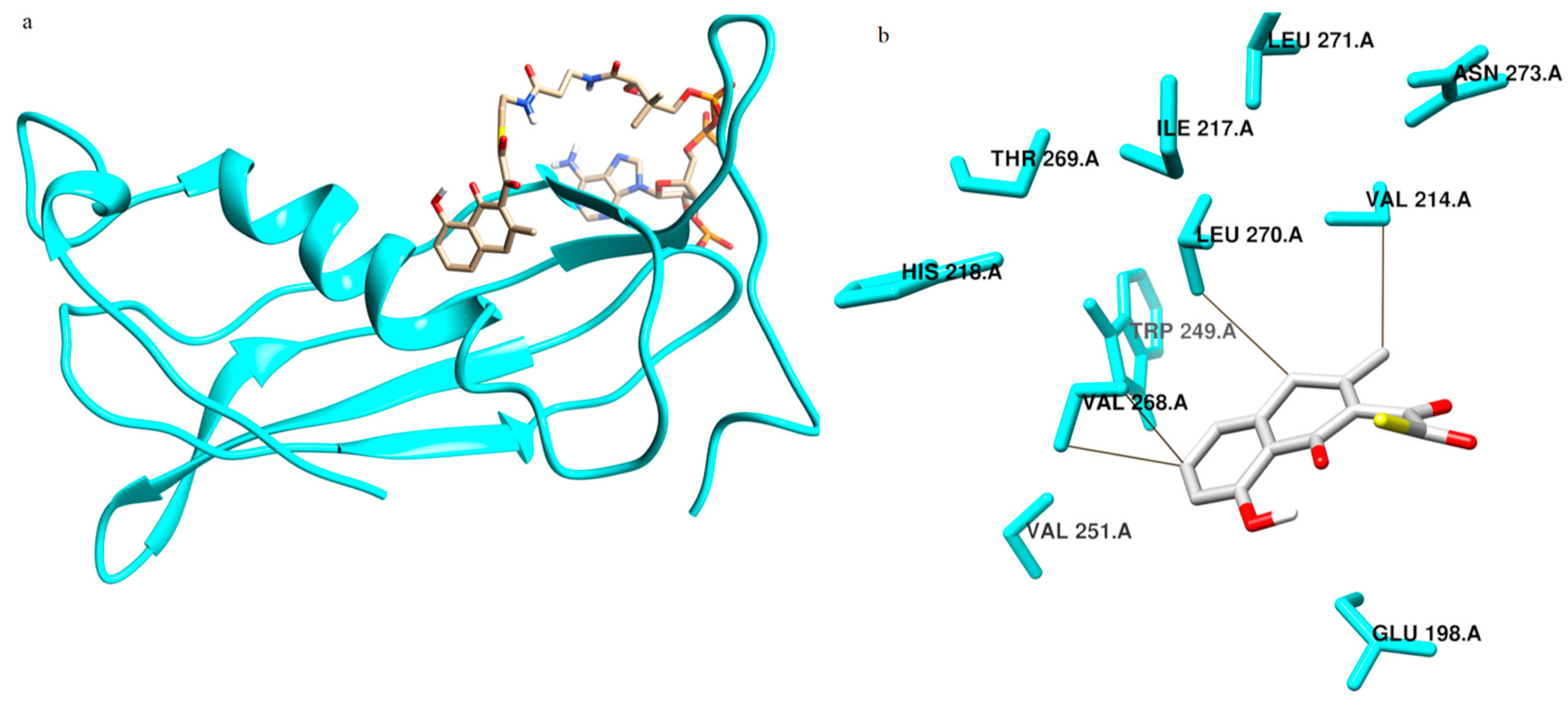 Catalysts 10 00280 g004
