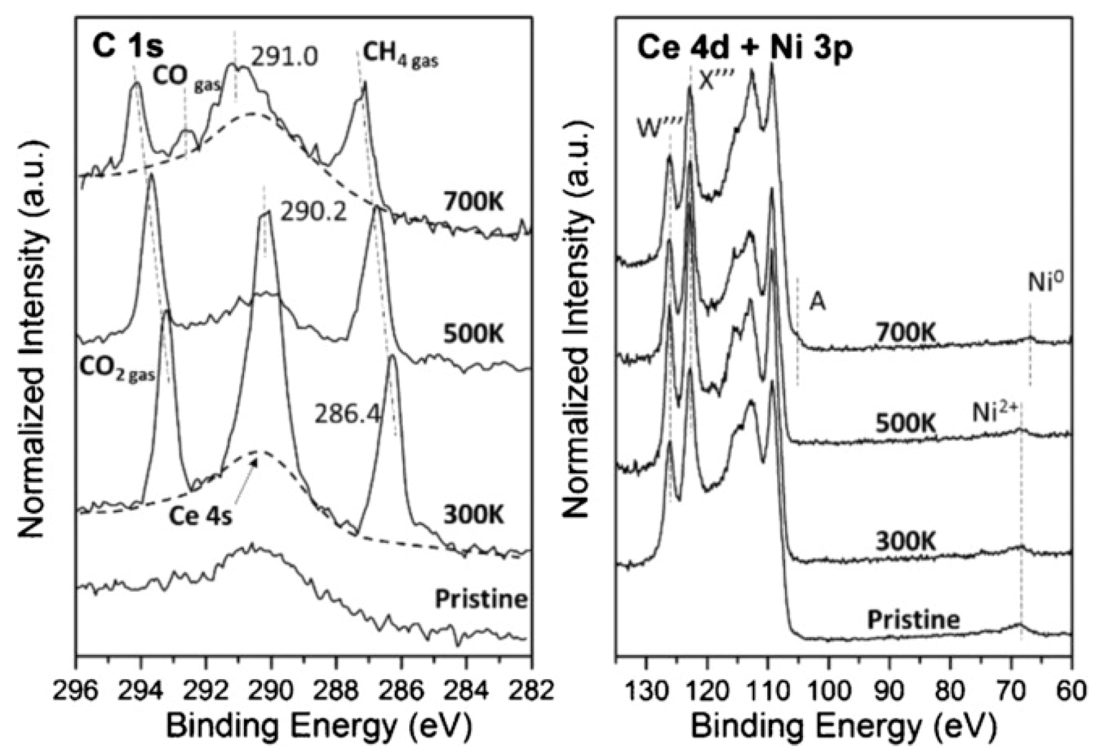 Catalysts 10 00286 g002 Catalysts 10 00286 g002