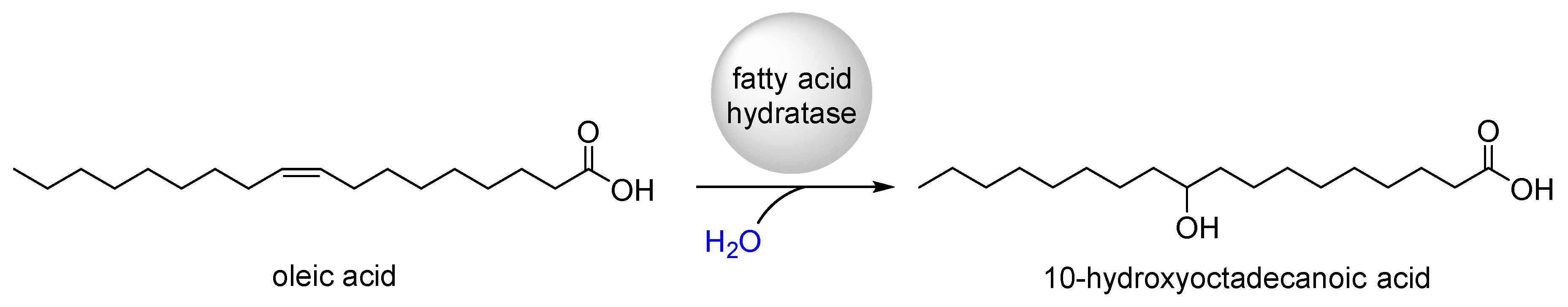Catalysts 10 00287 g001 Catalysts 10 00287 g001