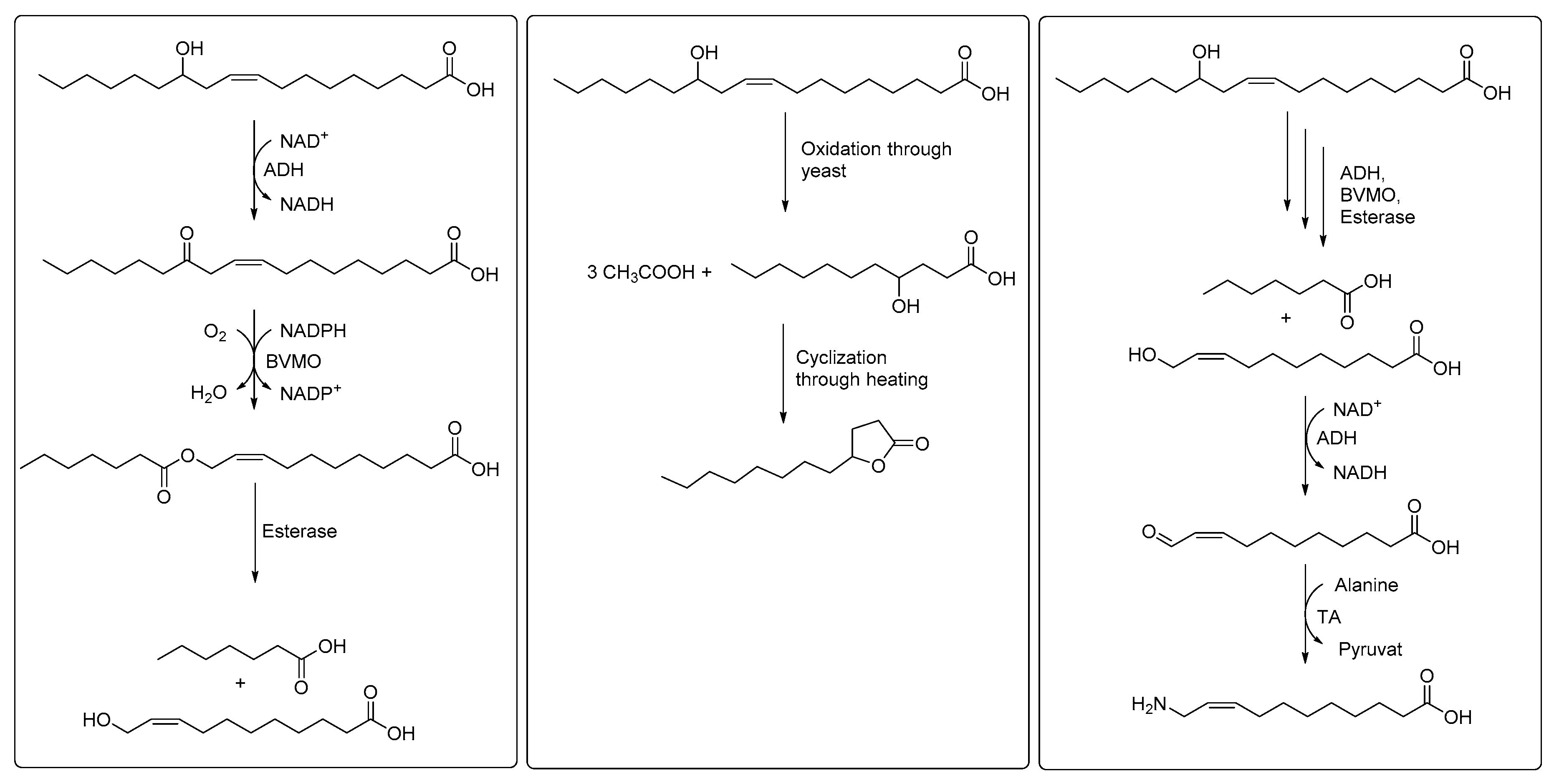 Catalysts 10 00287 g004 Catalysts 10 00287 g004