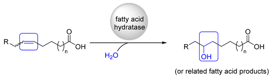 Catalysts 10 00287 i001