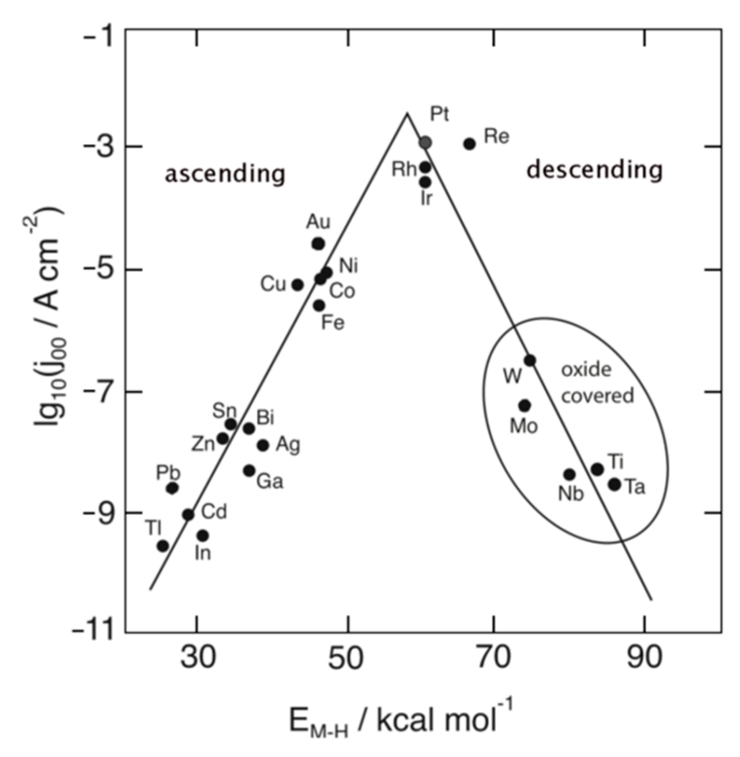 Catalysts 10 00290 g001