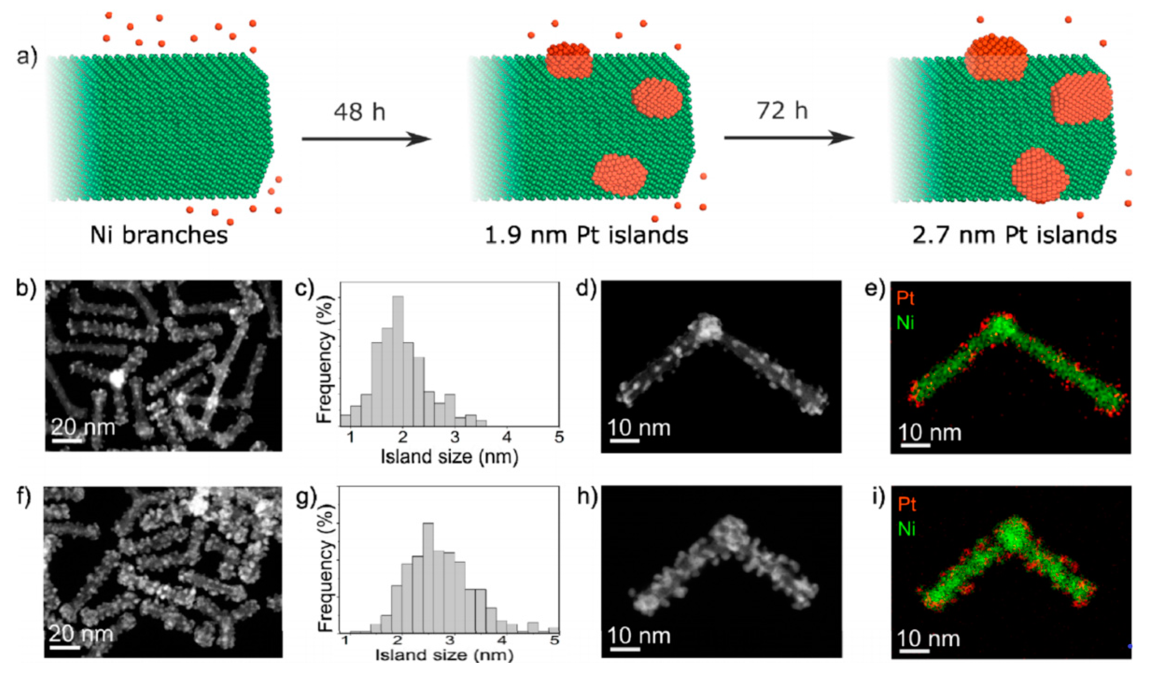 Catalysts 10 00290 g004