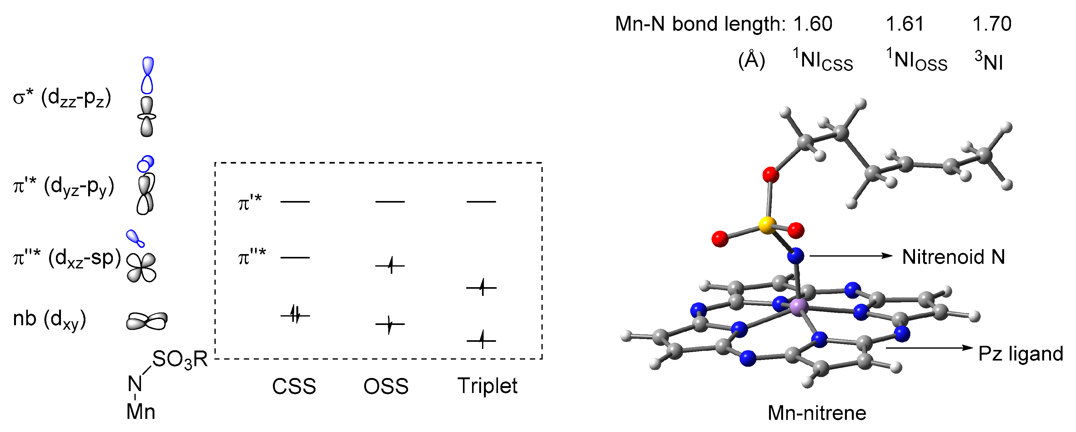 Catalysts 10 00292 g001