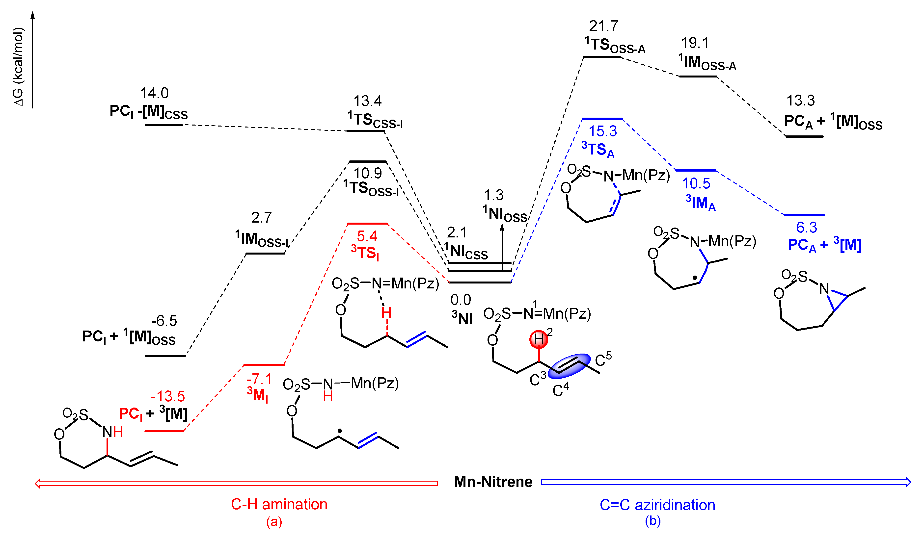 Catalysts 10 00292 g003