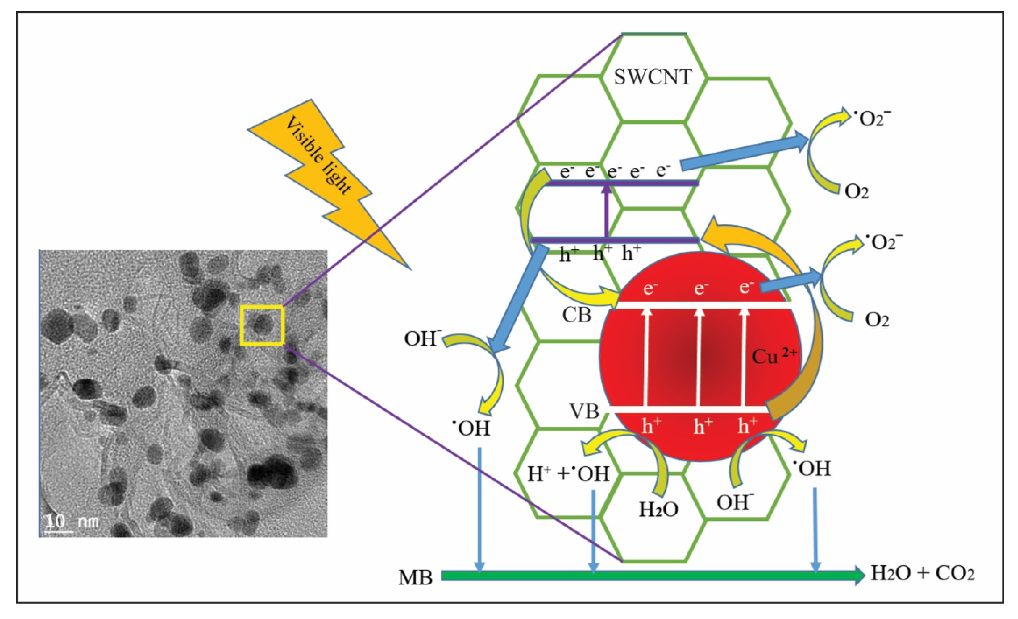 Catalysts 10 00297 g008