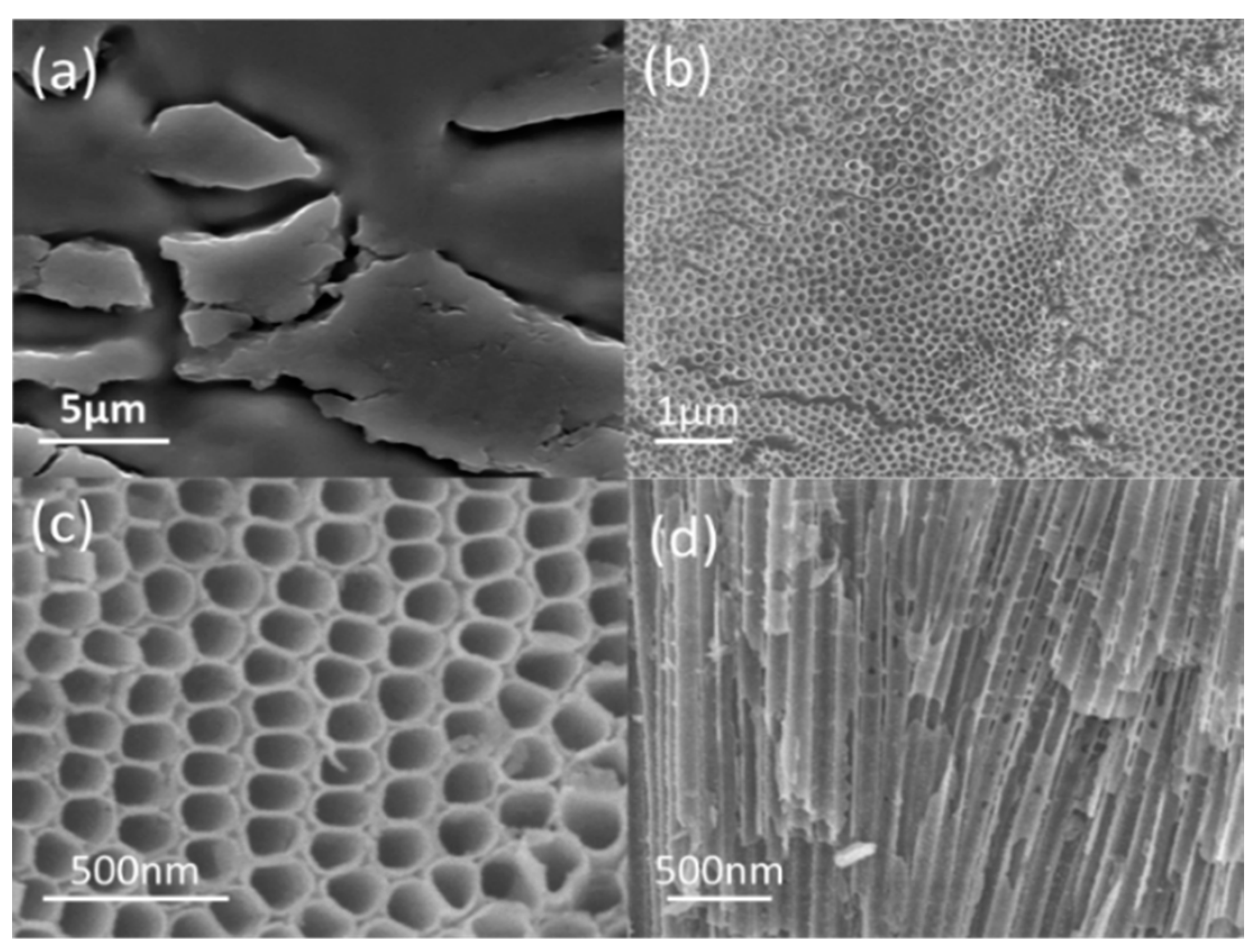 Catalysts 10 00298 g003 Catalysts 10 00298 g003