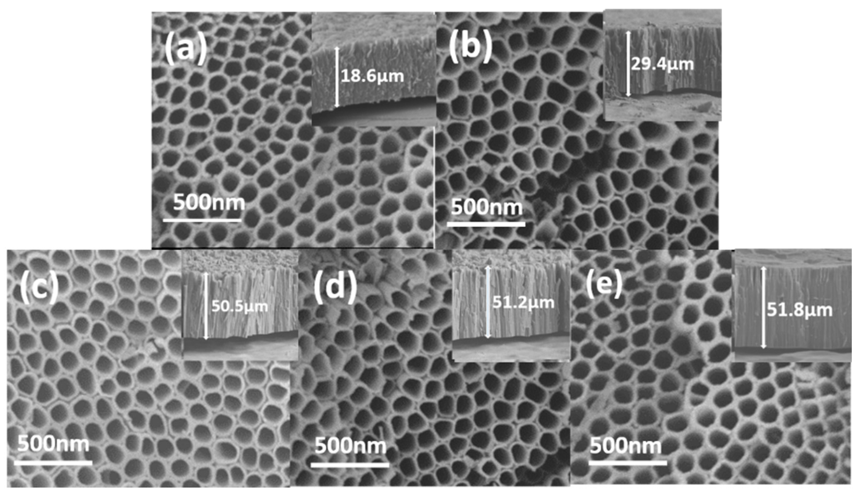 Catalysts 10 00298 g004 Catalysts 10 00298 g004
