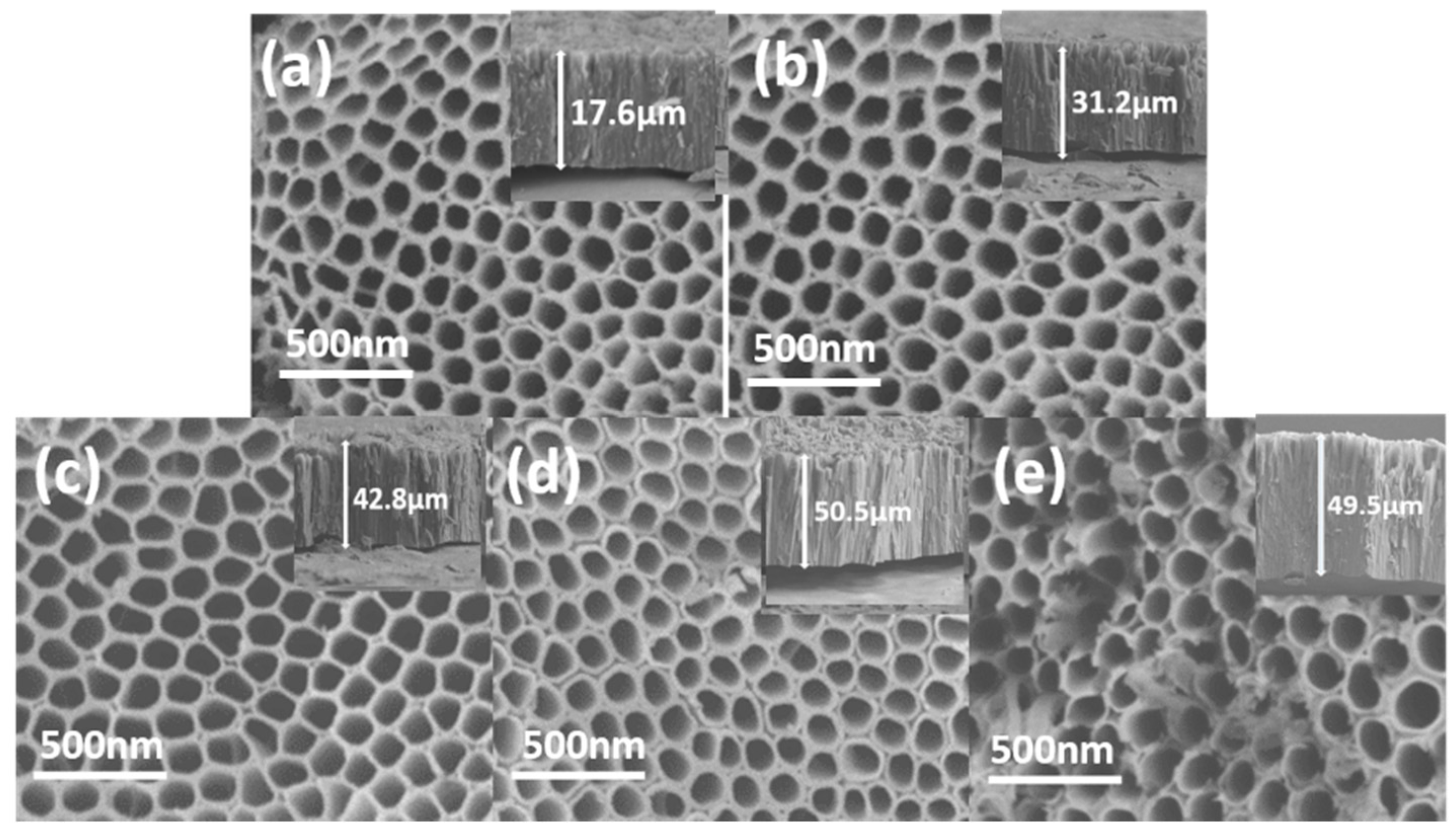 Catalysts 10 00298 g005 Catalysts 10 00298 g005