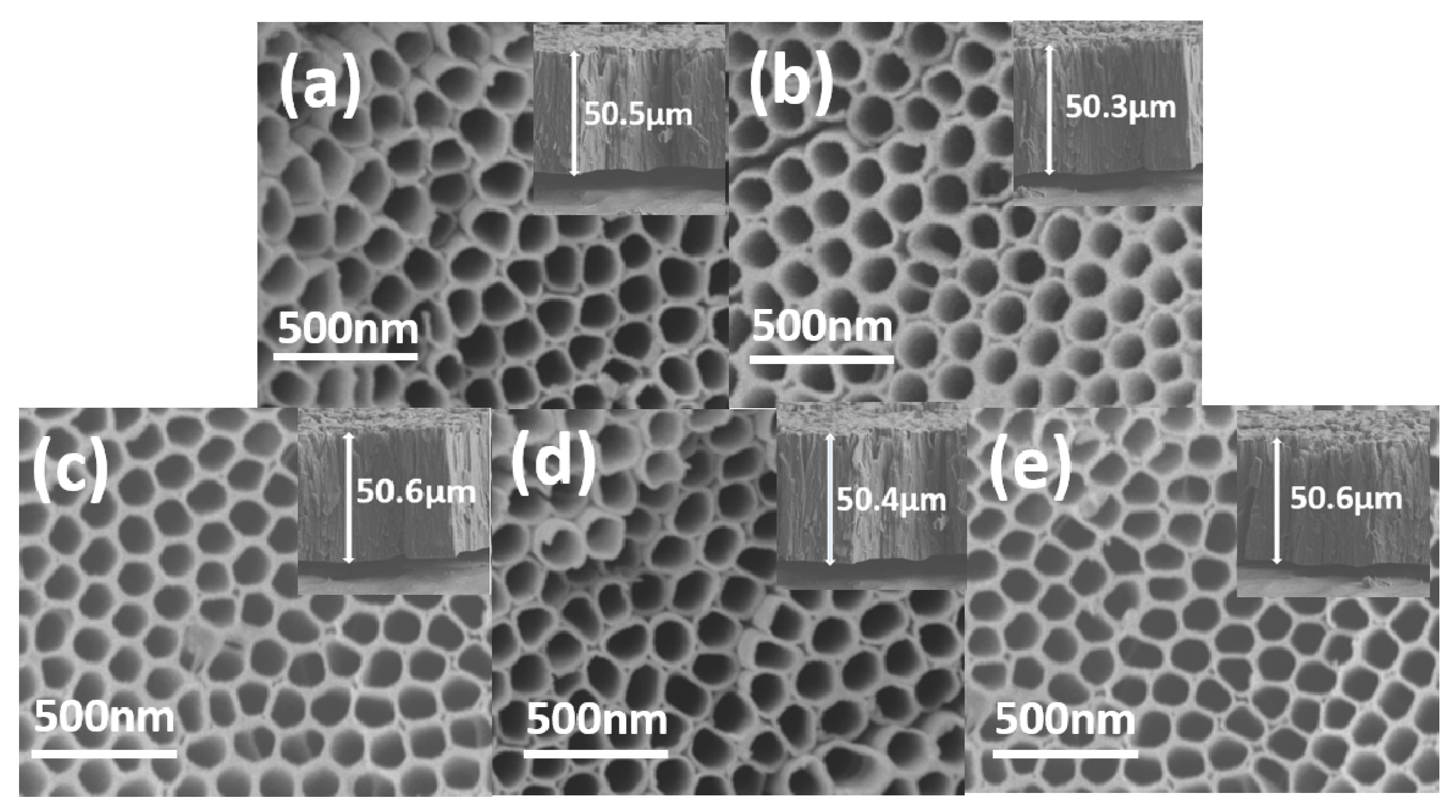 Catalysts 10 00298 g006 Catalysts 10 00298 g006