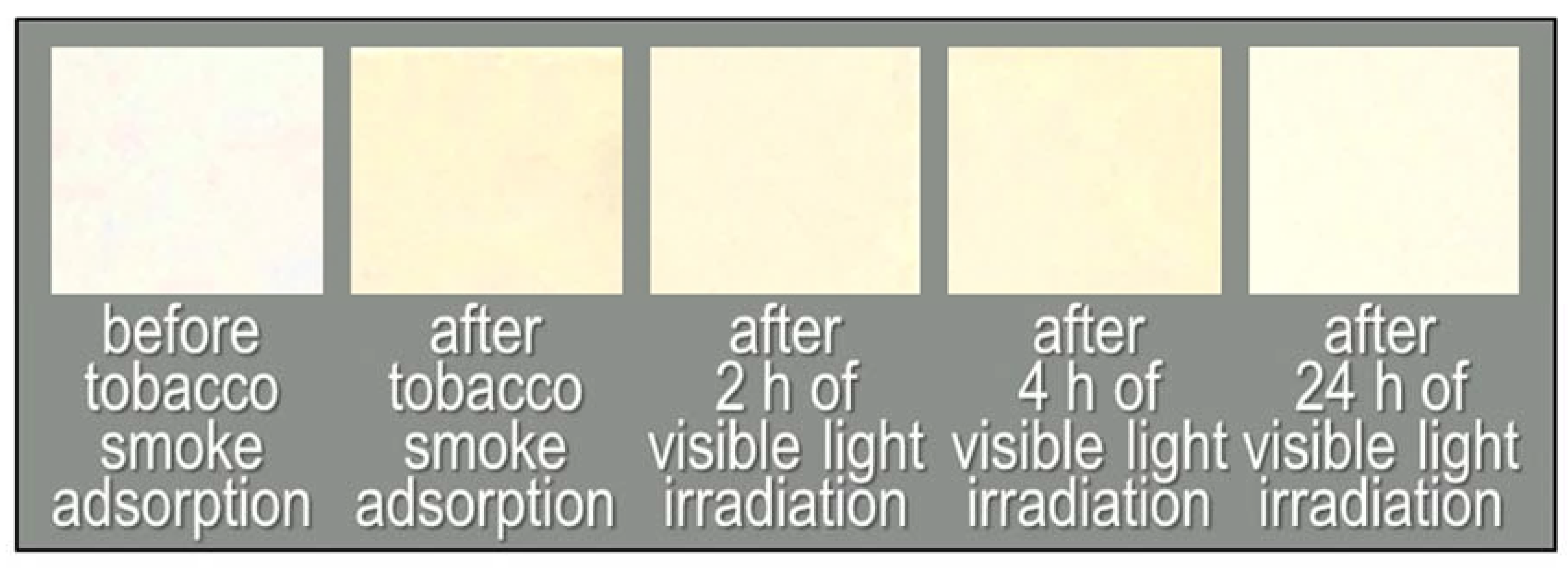 Catalysts 10 00304 g006