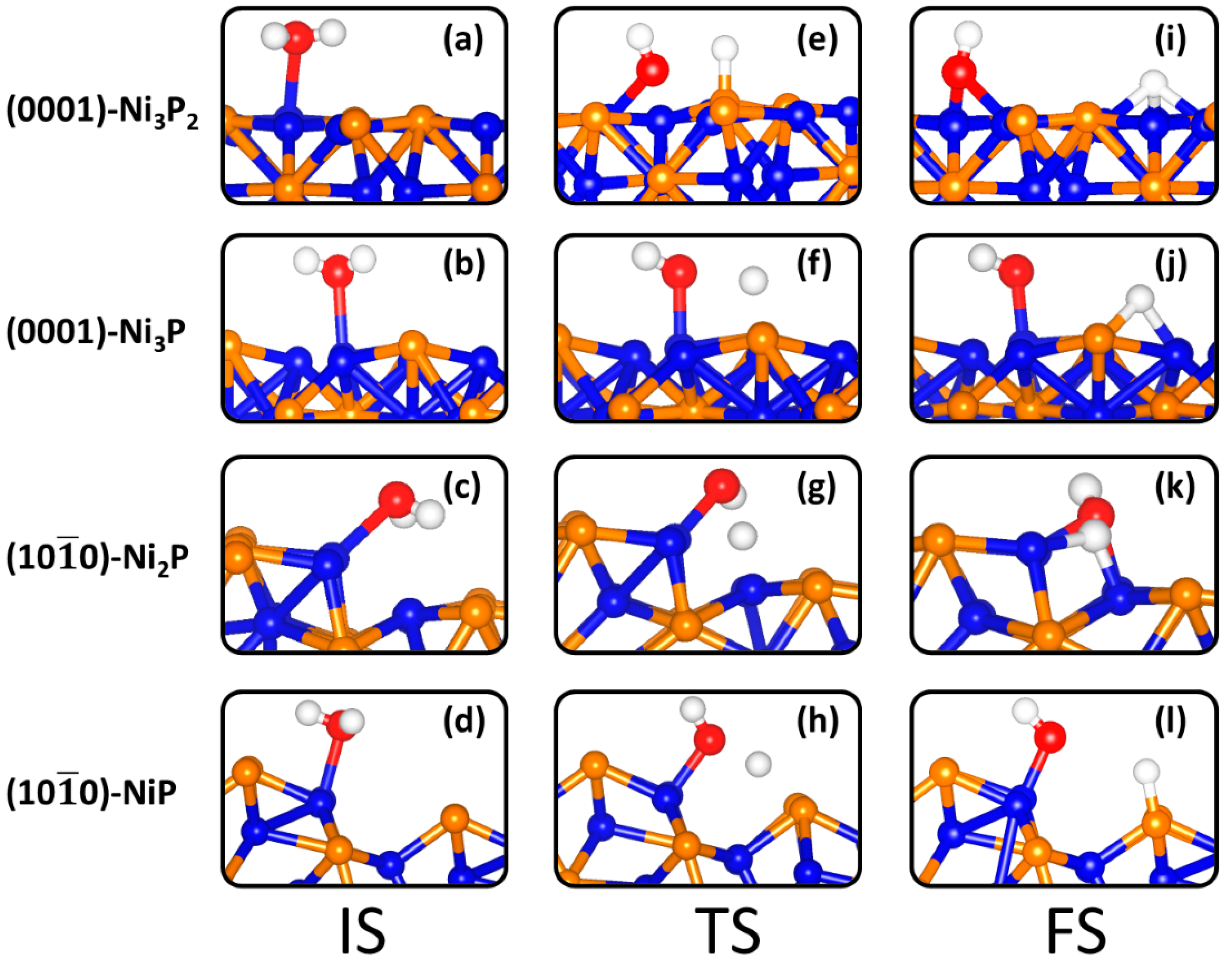 Catalysts 10 00307 g005