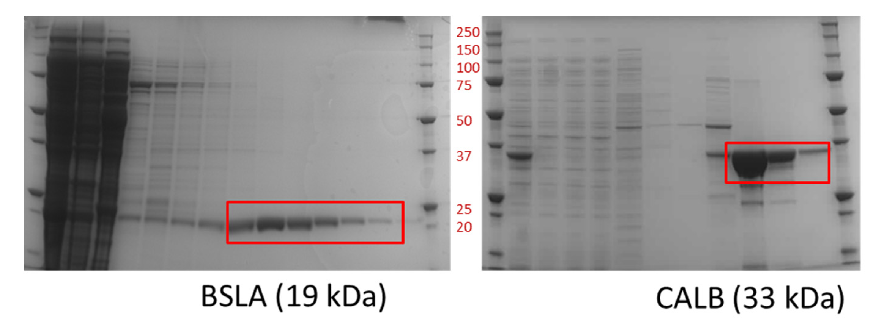 Catalysts 10 00308 g003 Catalysts 10 00308 g003
