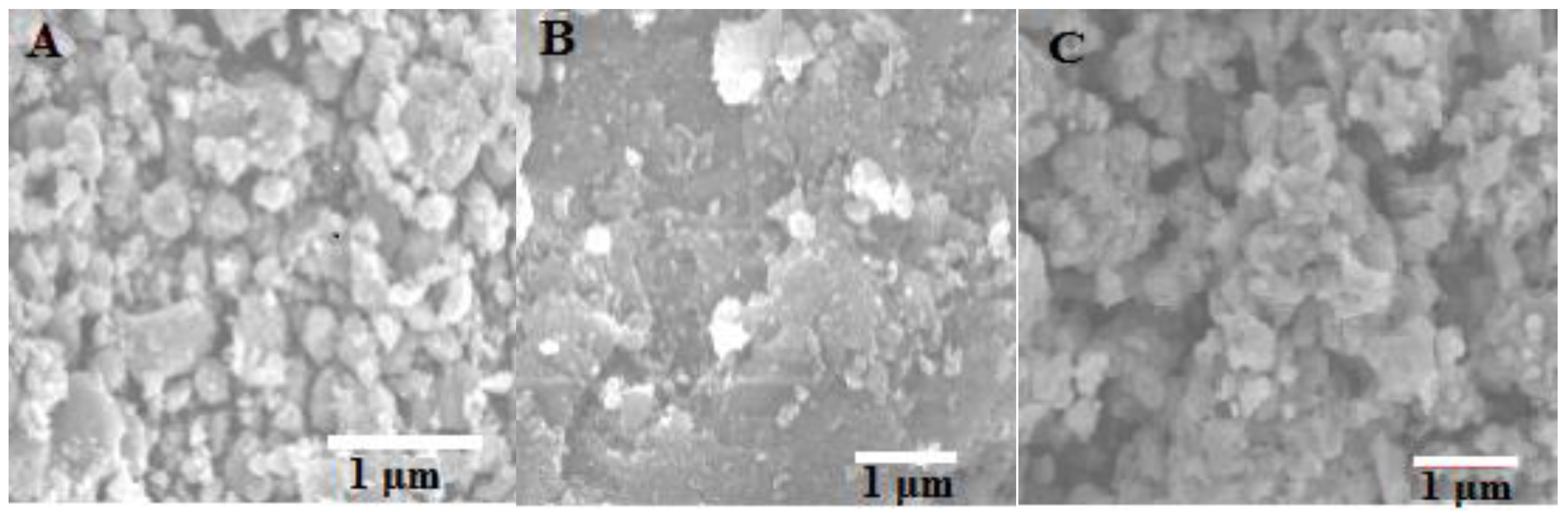 Catalysts 10 00310 g002